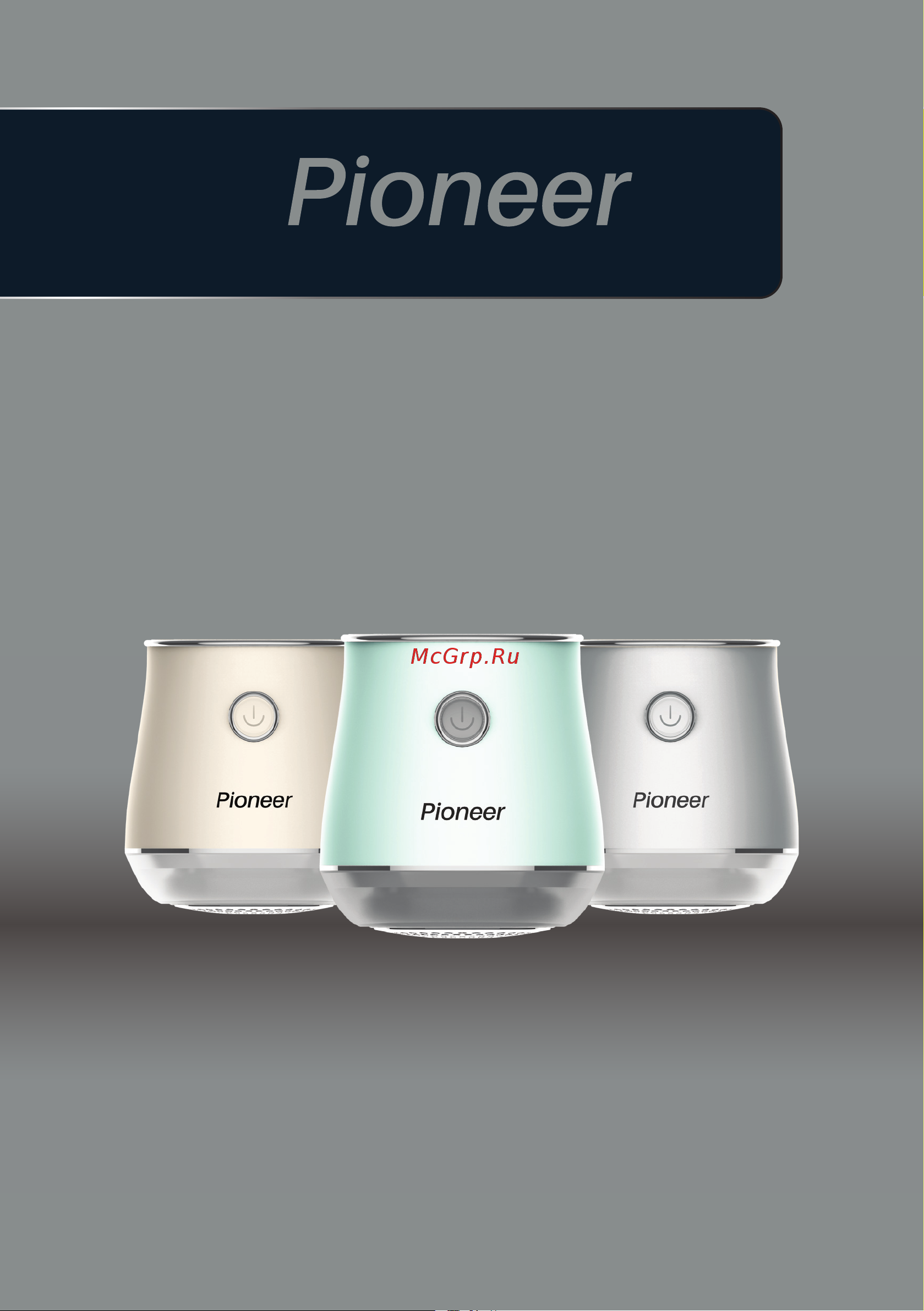 Pioneer LR19 Инструкция по эксплуатации онлайн