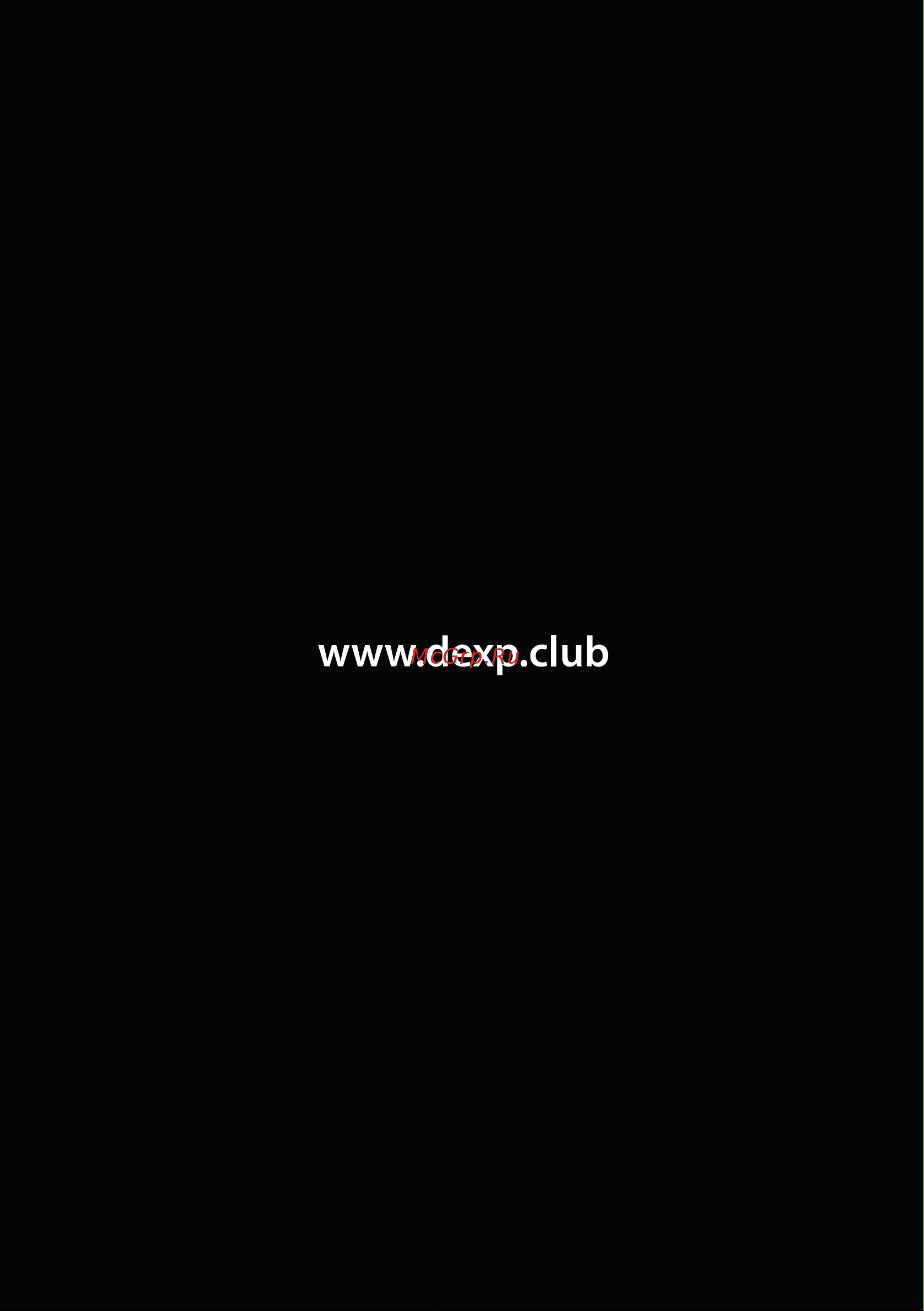 DEXP RS850 Руководство пользователя онлайн [8/8] 630575