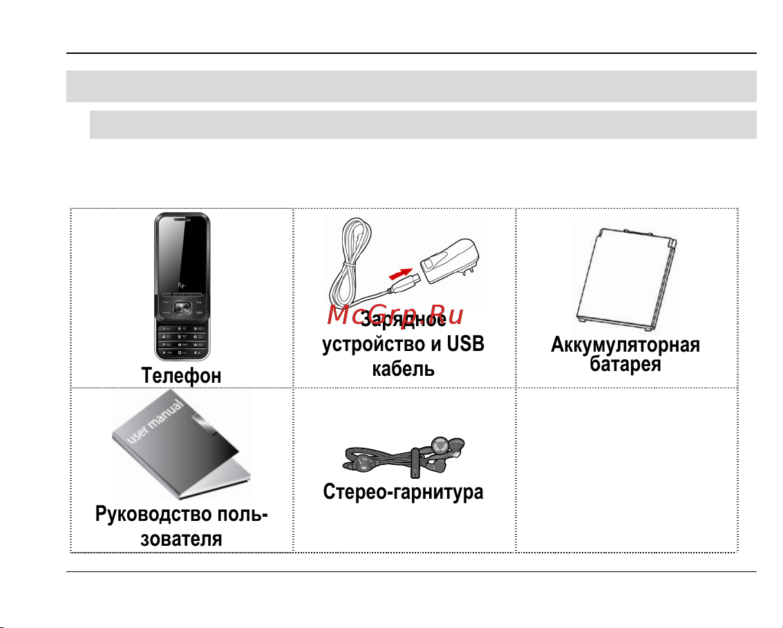 Fly MC220 [15/71] Описание телефона