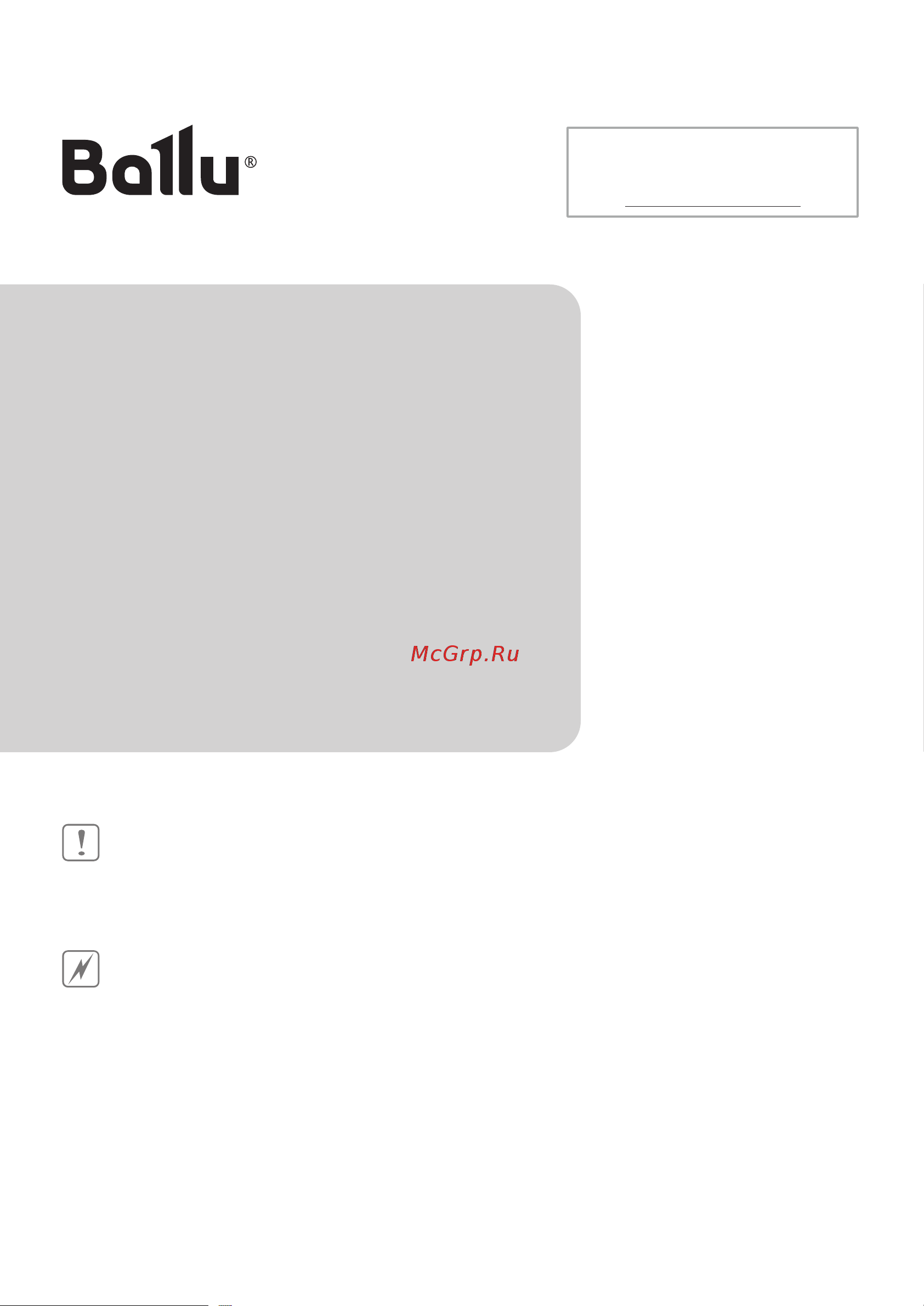 Ballu RDU-200D ANTICOVIDgenerator, white НС-1343672 [2/20] Используемые обозначения