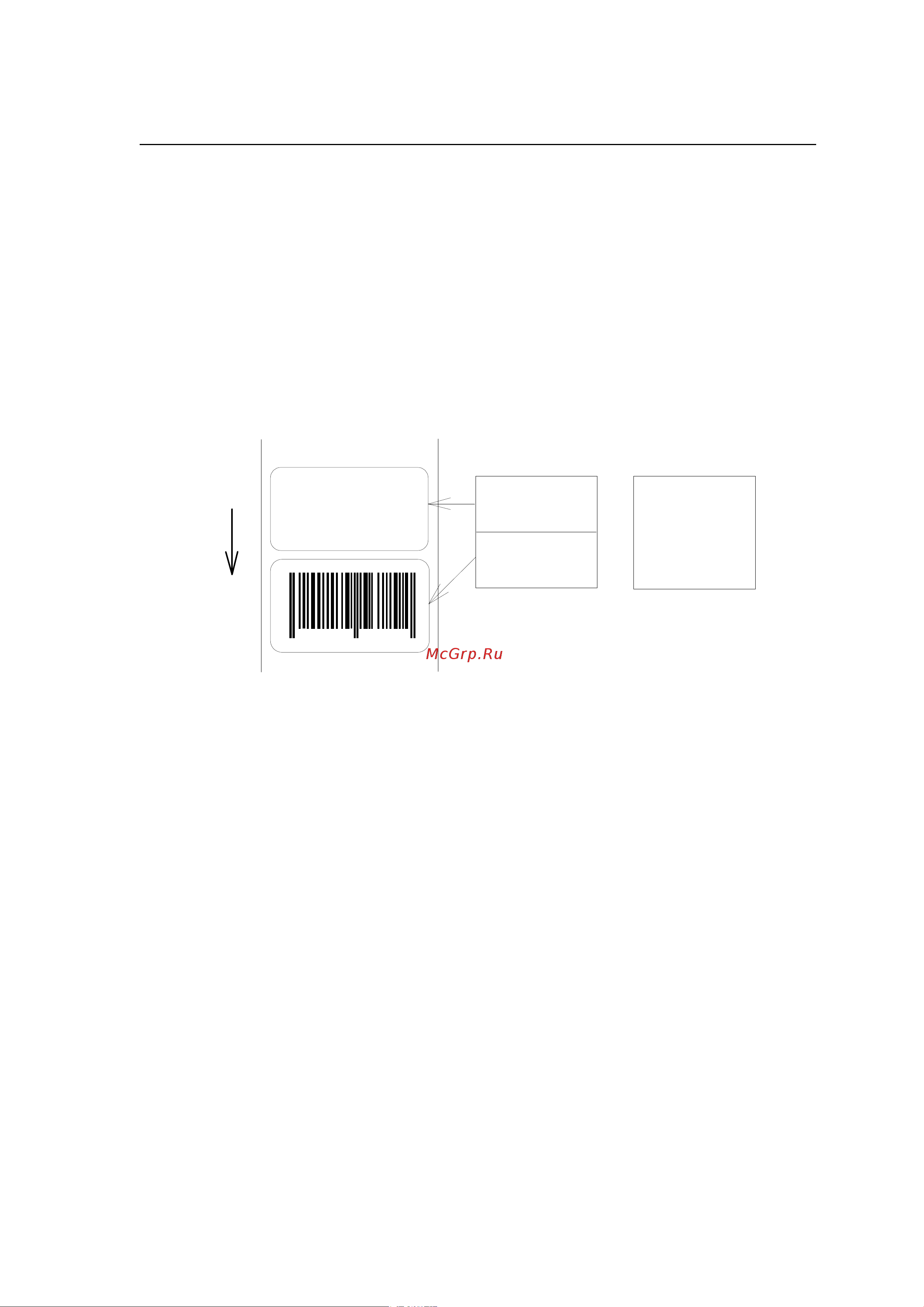 Citizen CL-S521 [20/154] Setting two page edit mode double buffer