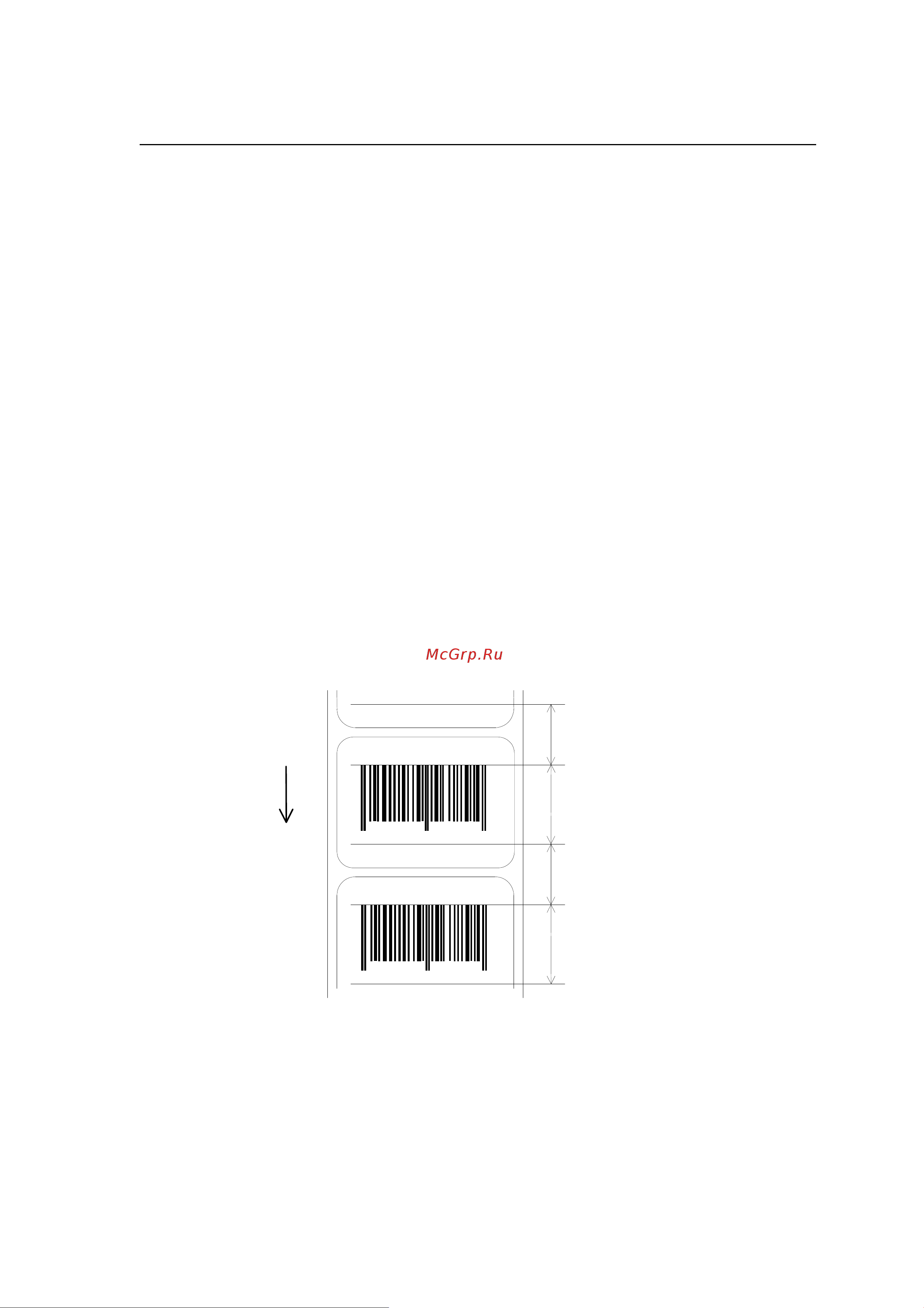 Citizen CL-E720DT [60/154] Setting printable area speed