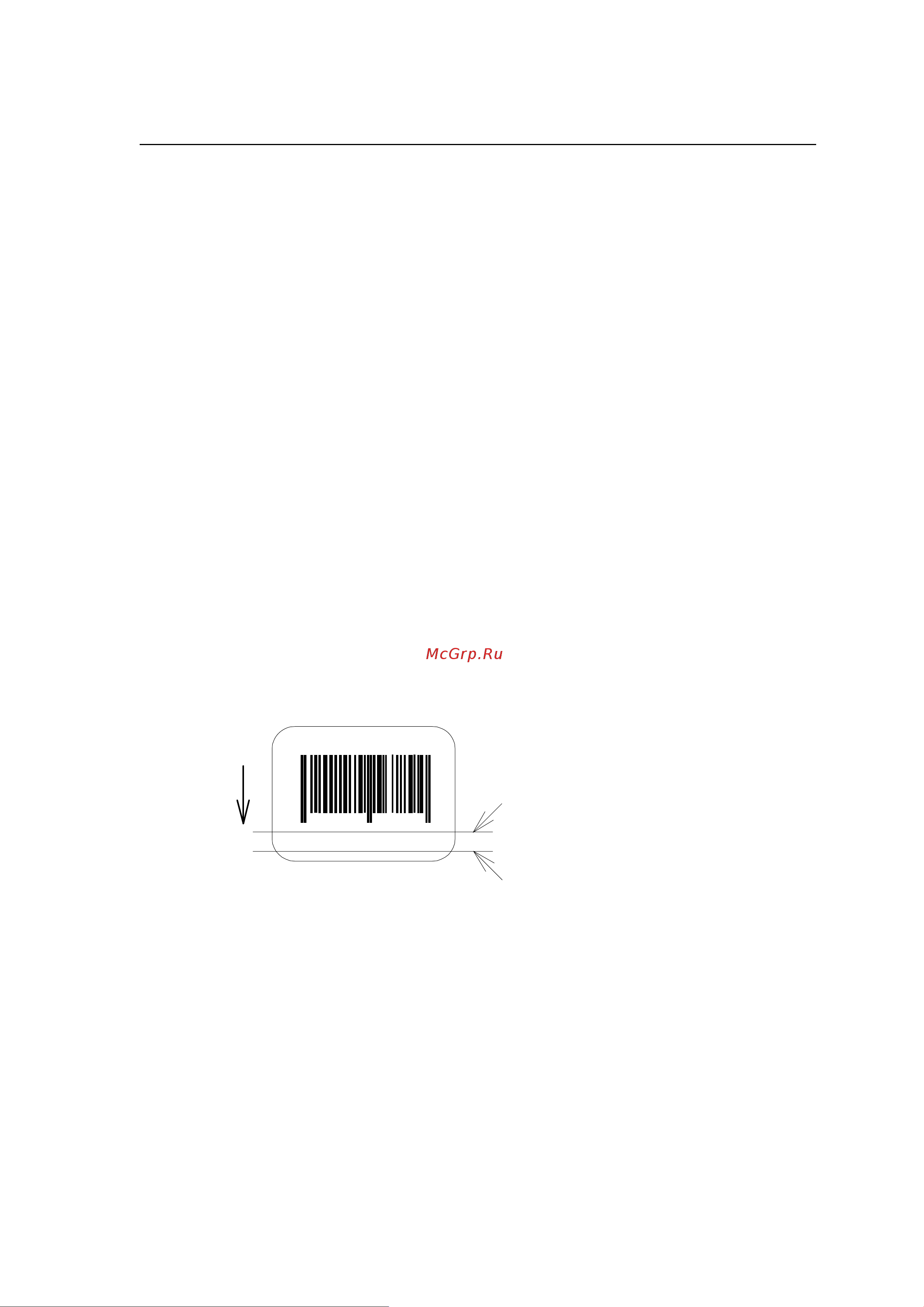 Citizen CL-E720DT [64/154] Setting offset in direction of row