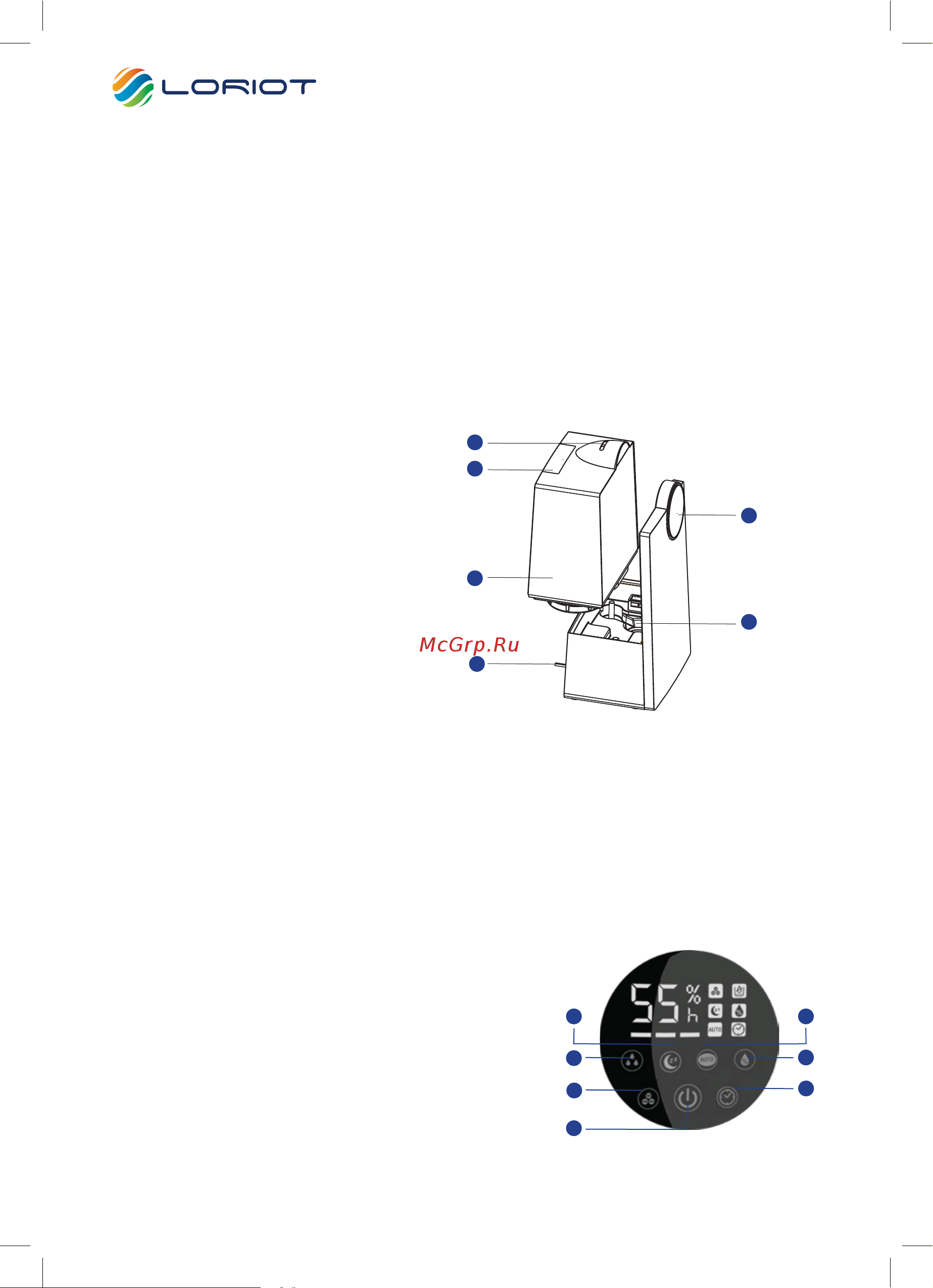 Loriot Soprano LHS-C450E [4/12] Общие указания