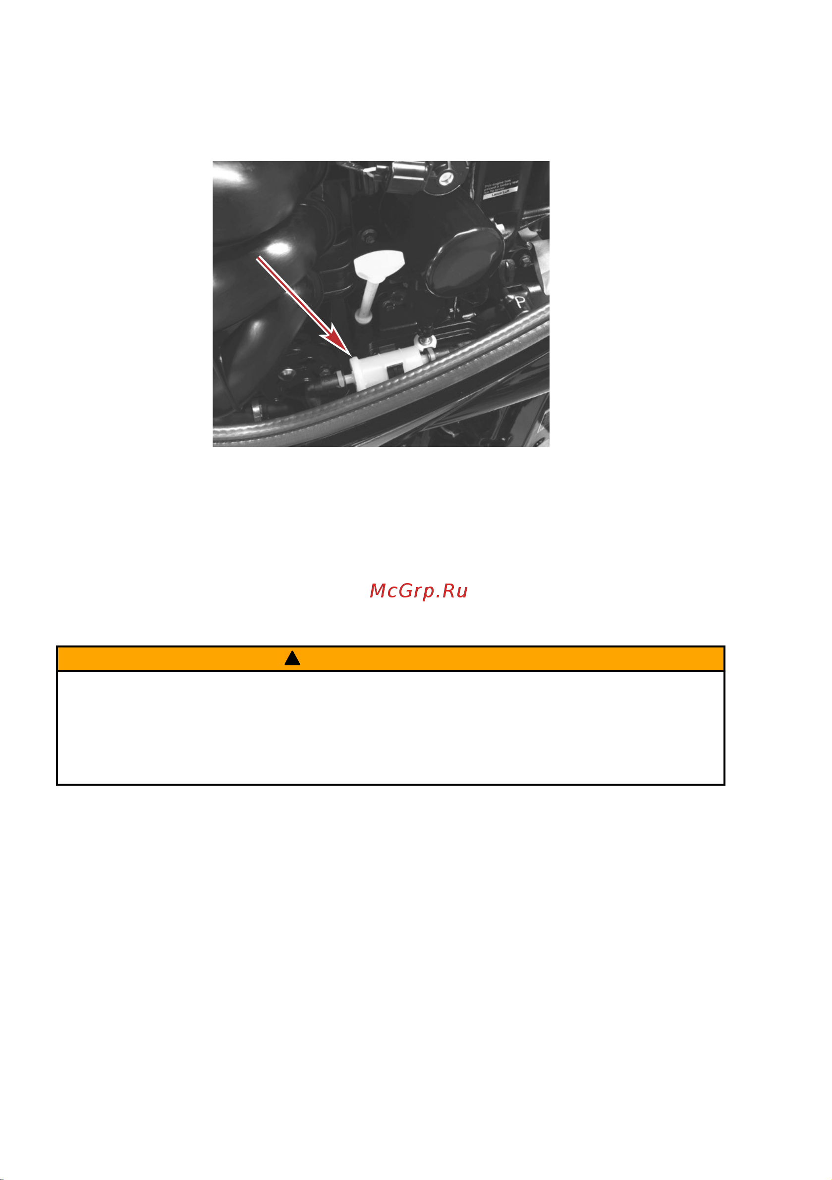 Mercury F 100 ELPT EFI CT [72/128] Техническое обслуживание
