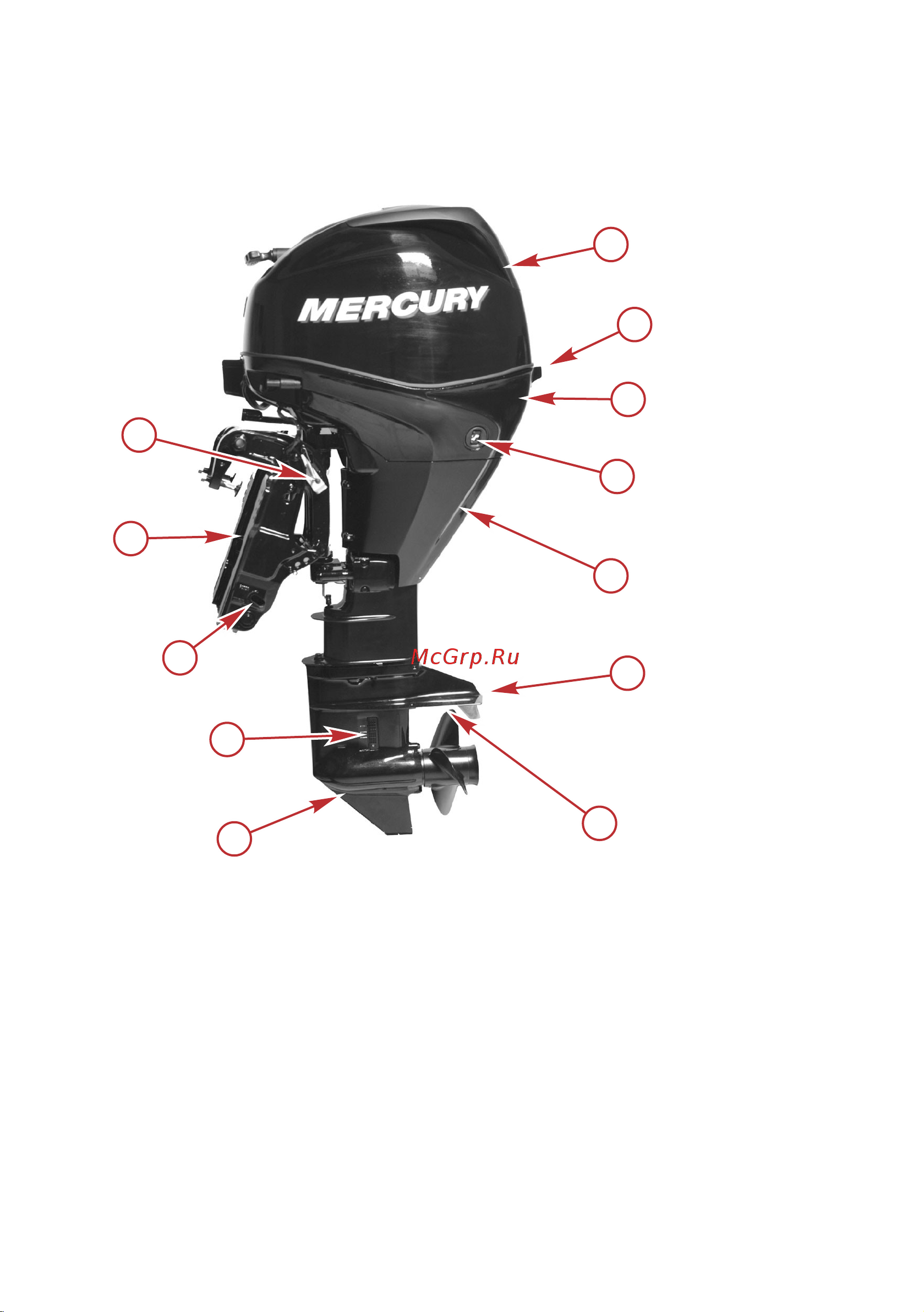 Mercury F 25 EL EFI [31/120] Общие сведения