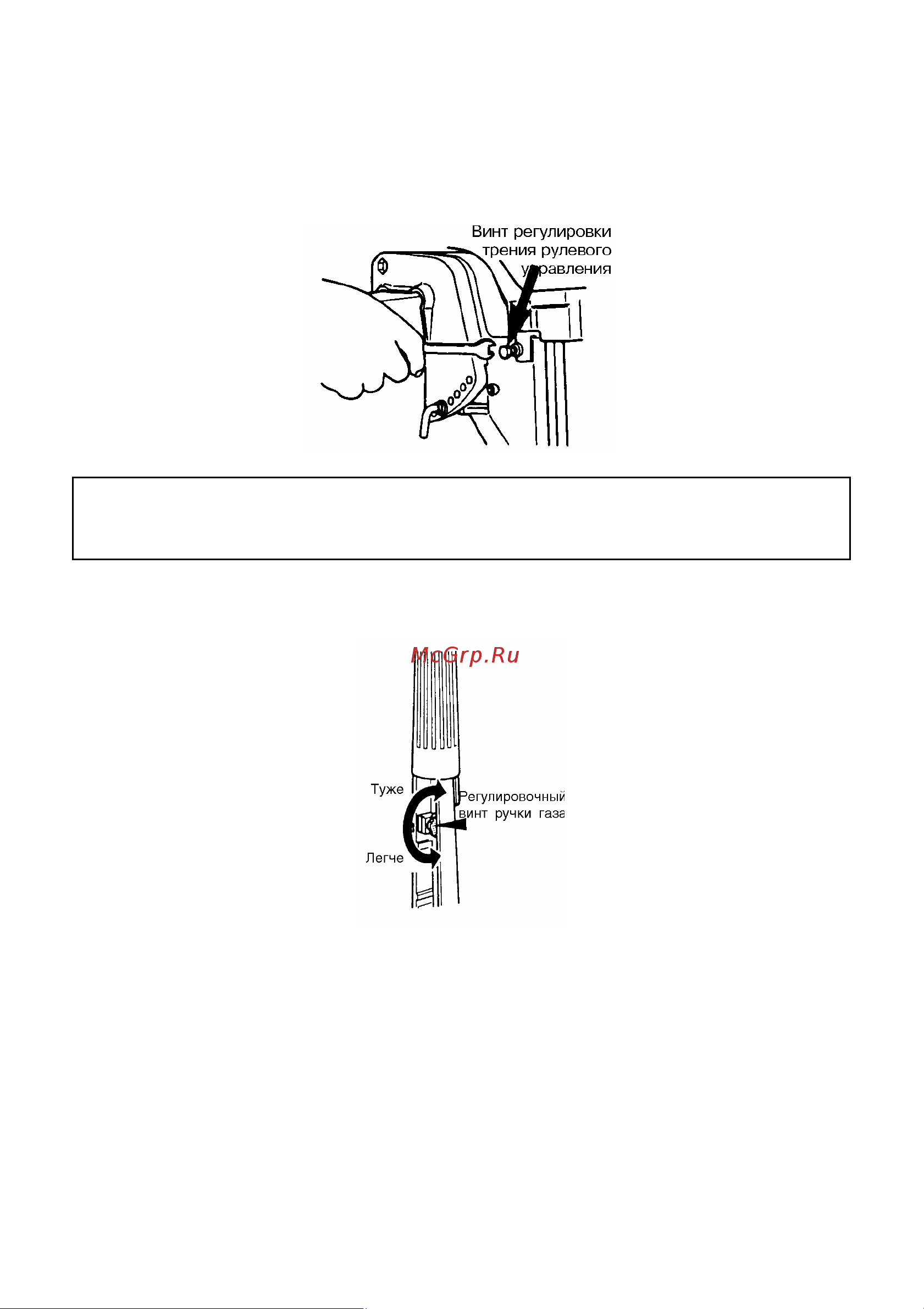 Tohatsu MFS 9.8 BS [31/53] Регулировки
