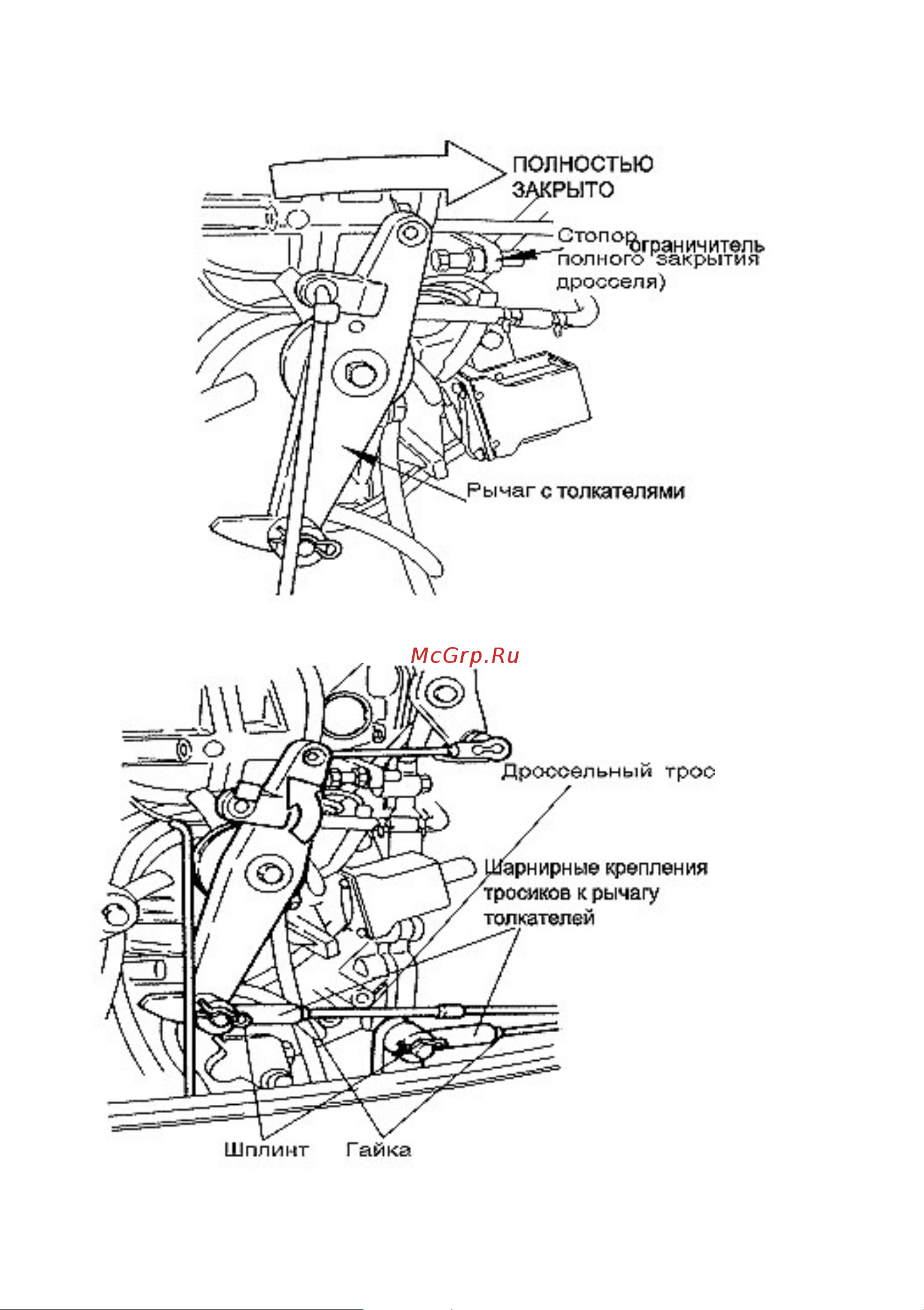 Tohatsu M 50 D2 EPOS Руководство по эксплуатации онлайн [21/88] 634306