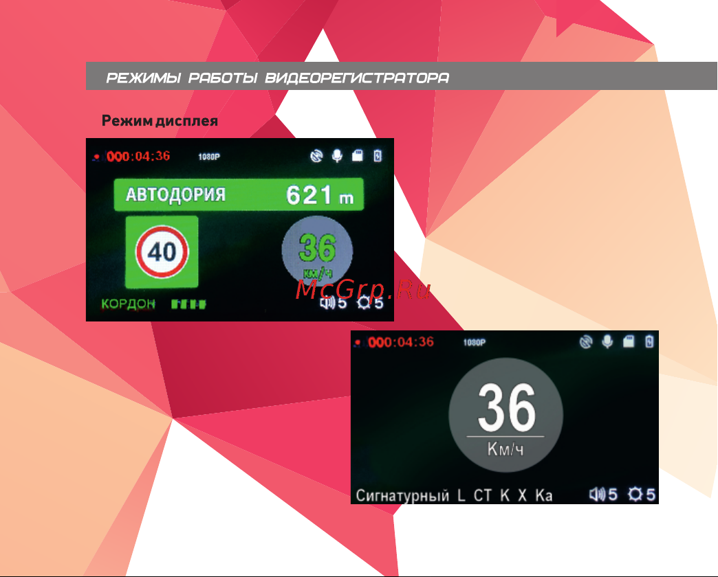 Viper Fit S [16/44] Страница 16