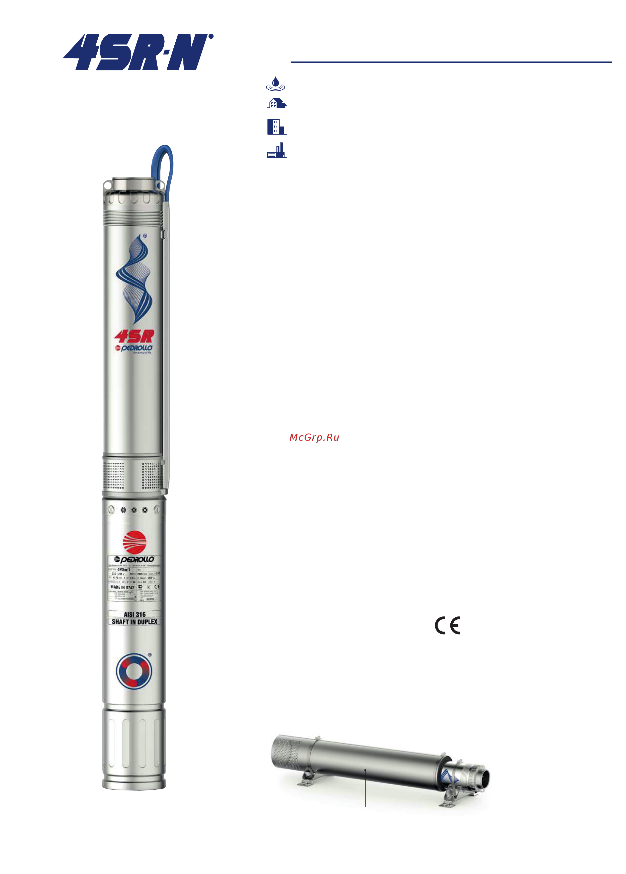 Pedrollo 4SR 10/13 N - HYD (без двигателя) Технический паспорт онлайн
