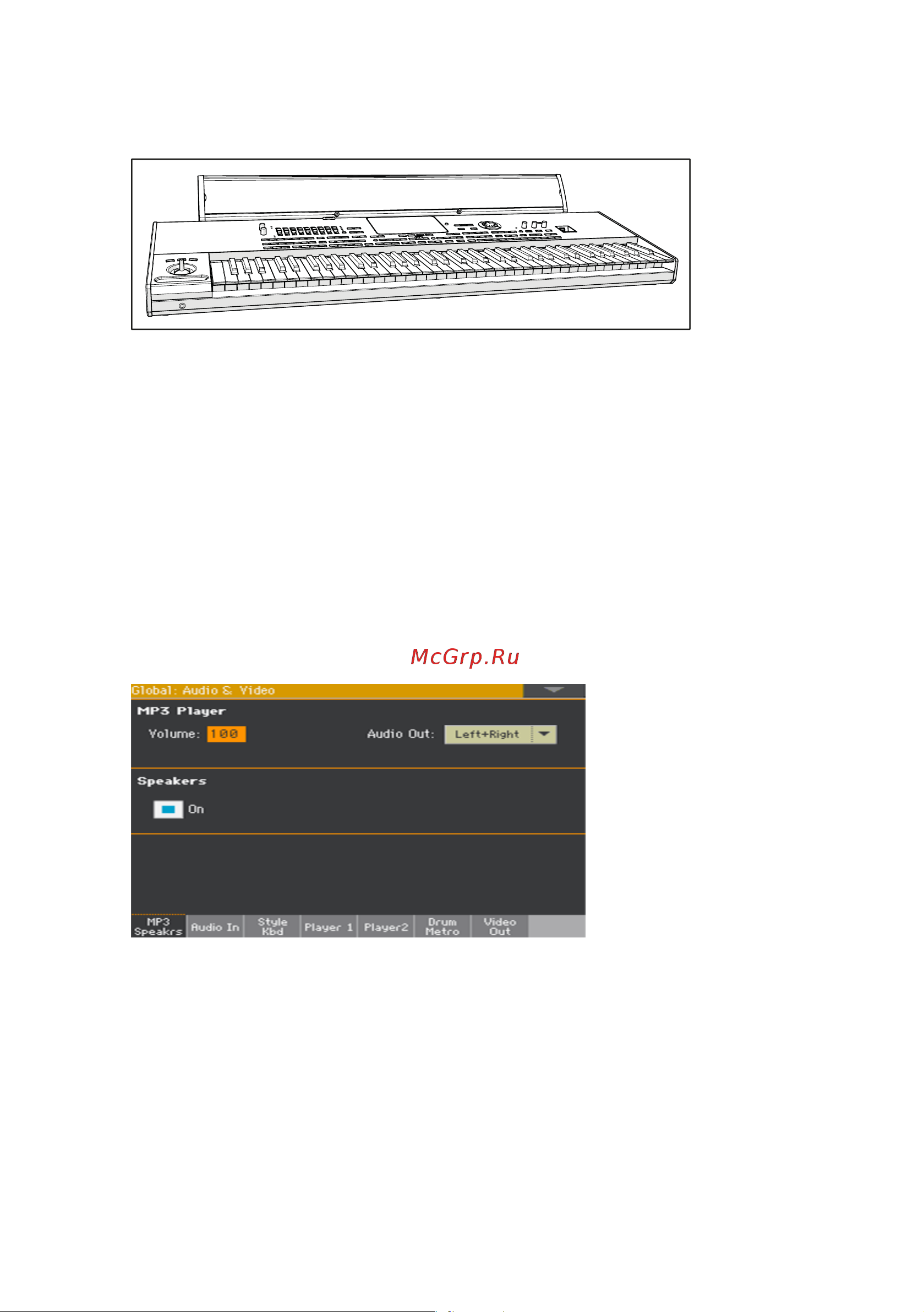 Korg Pa4X-61 [1037/1070] Включение и выключение системы звукоусиления paas