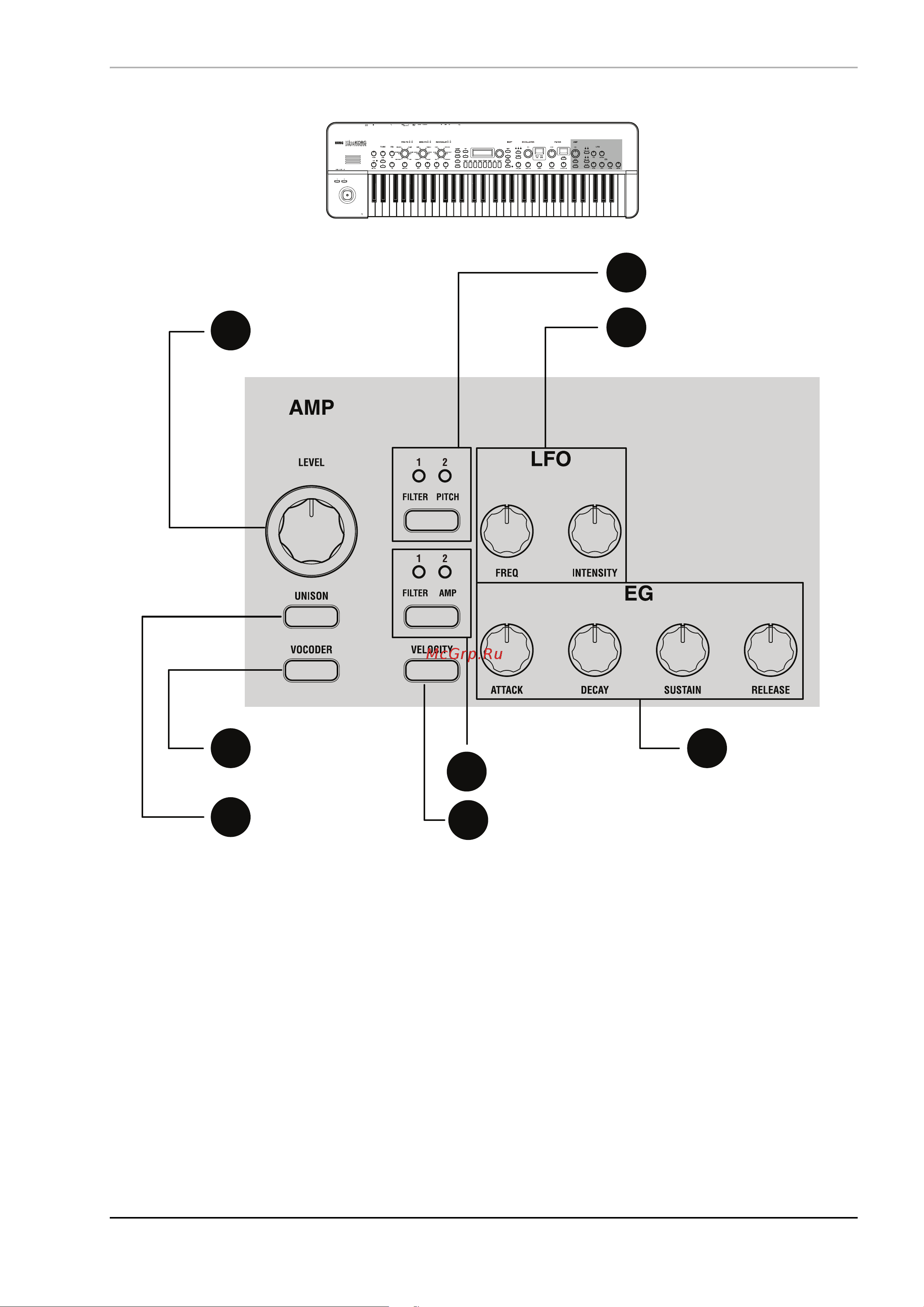 Korg KingKorg [13/43] Лицевая панель секции amp lfo eg