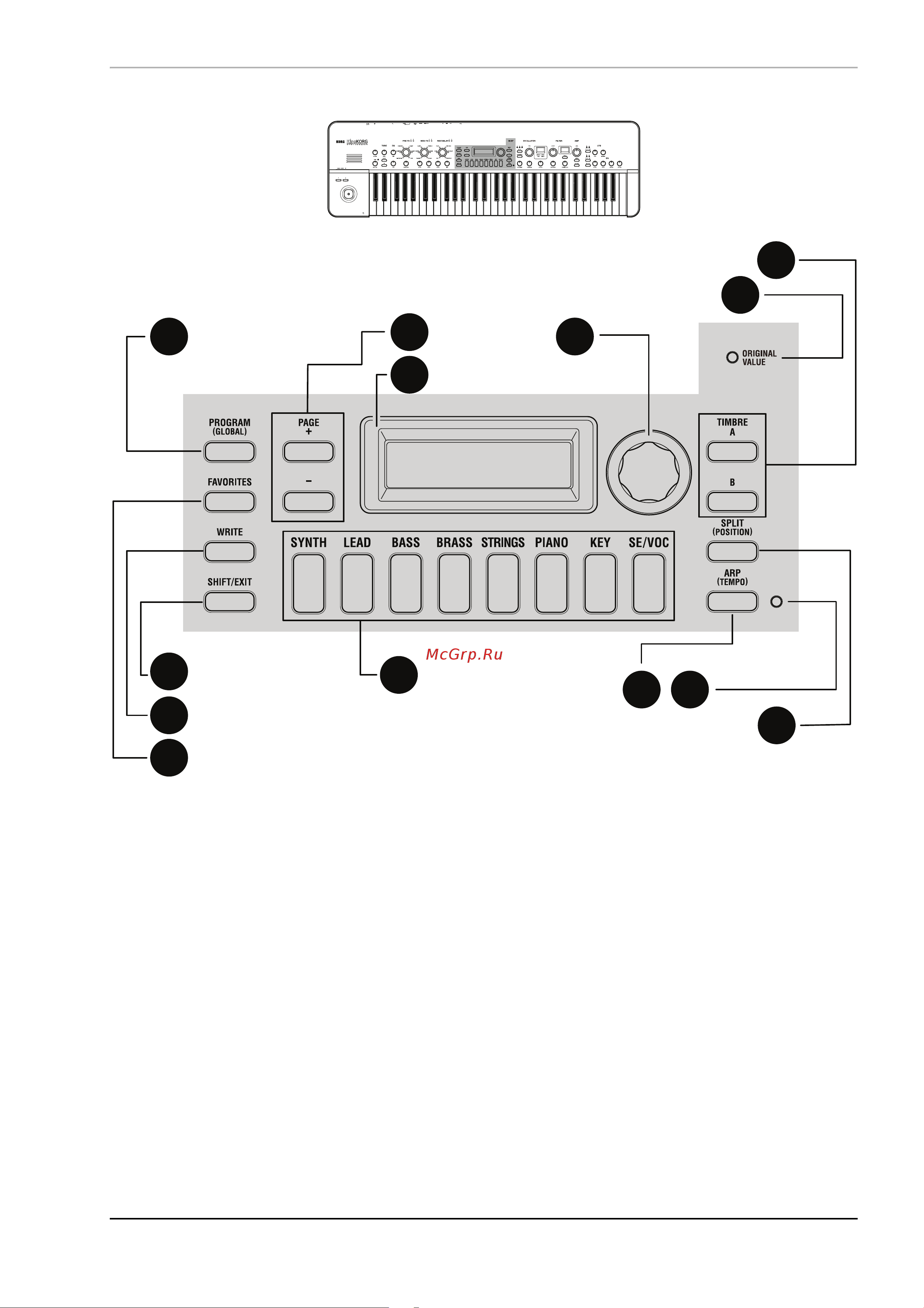 Korg KING KORG [9/43] Лицевая панель основная секция