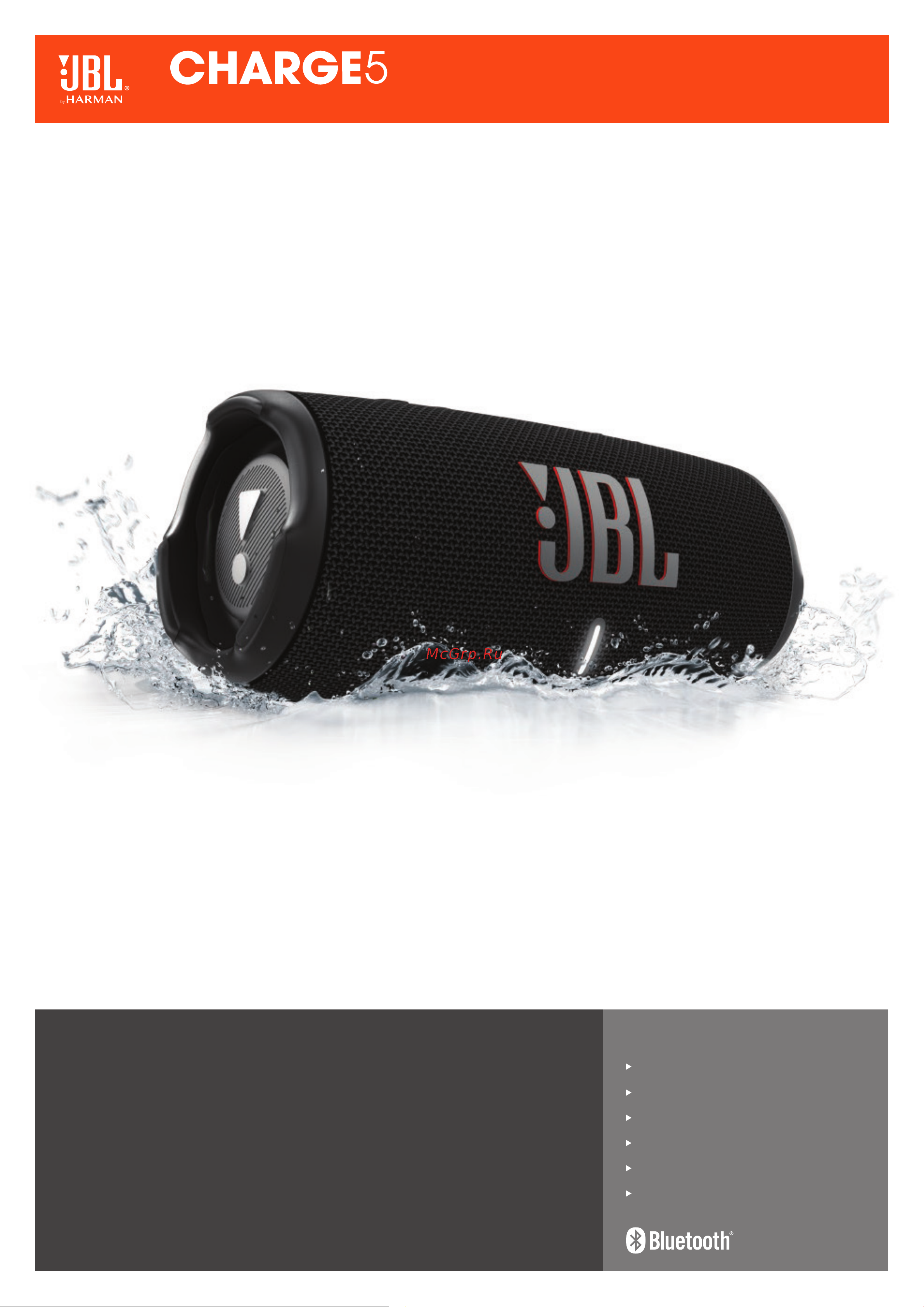 JBL Charge 5 Grey Инструкция по эксплуатации онлайн