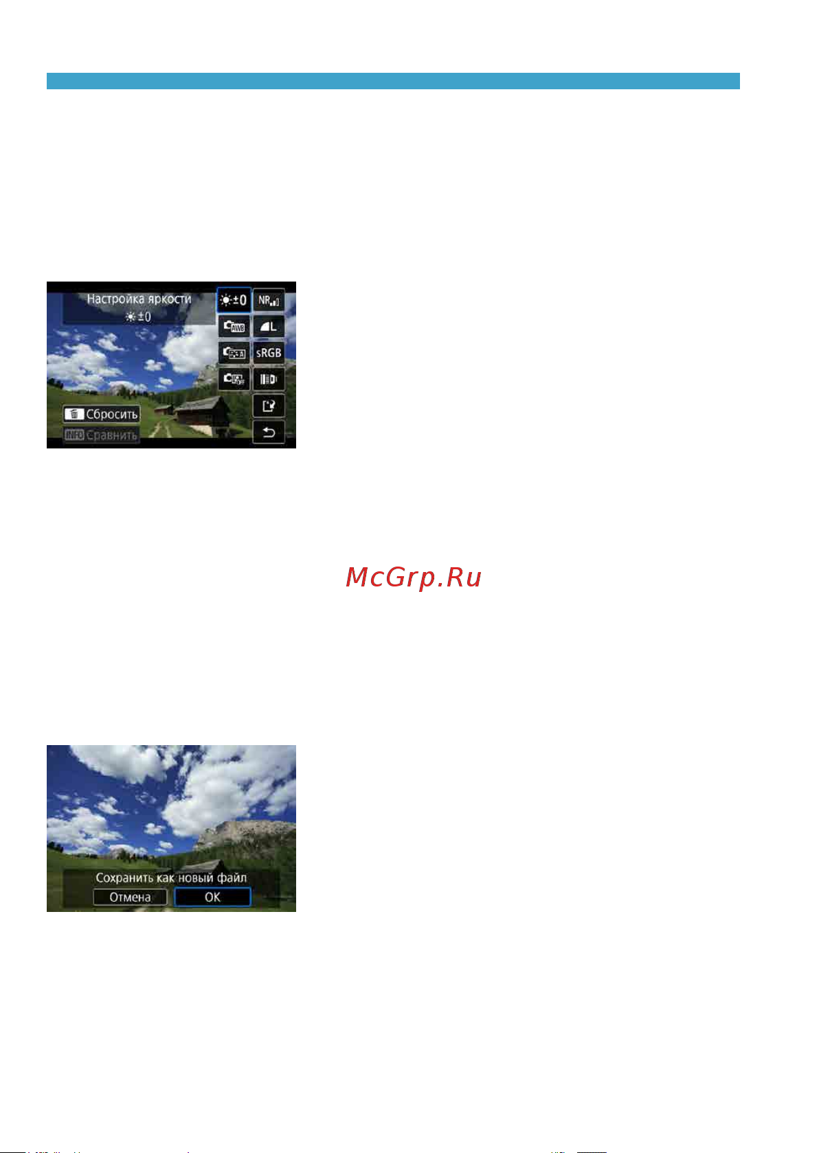 Canon EOS R Body [340/644] Настройка обработки raw