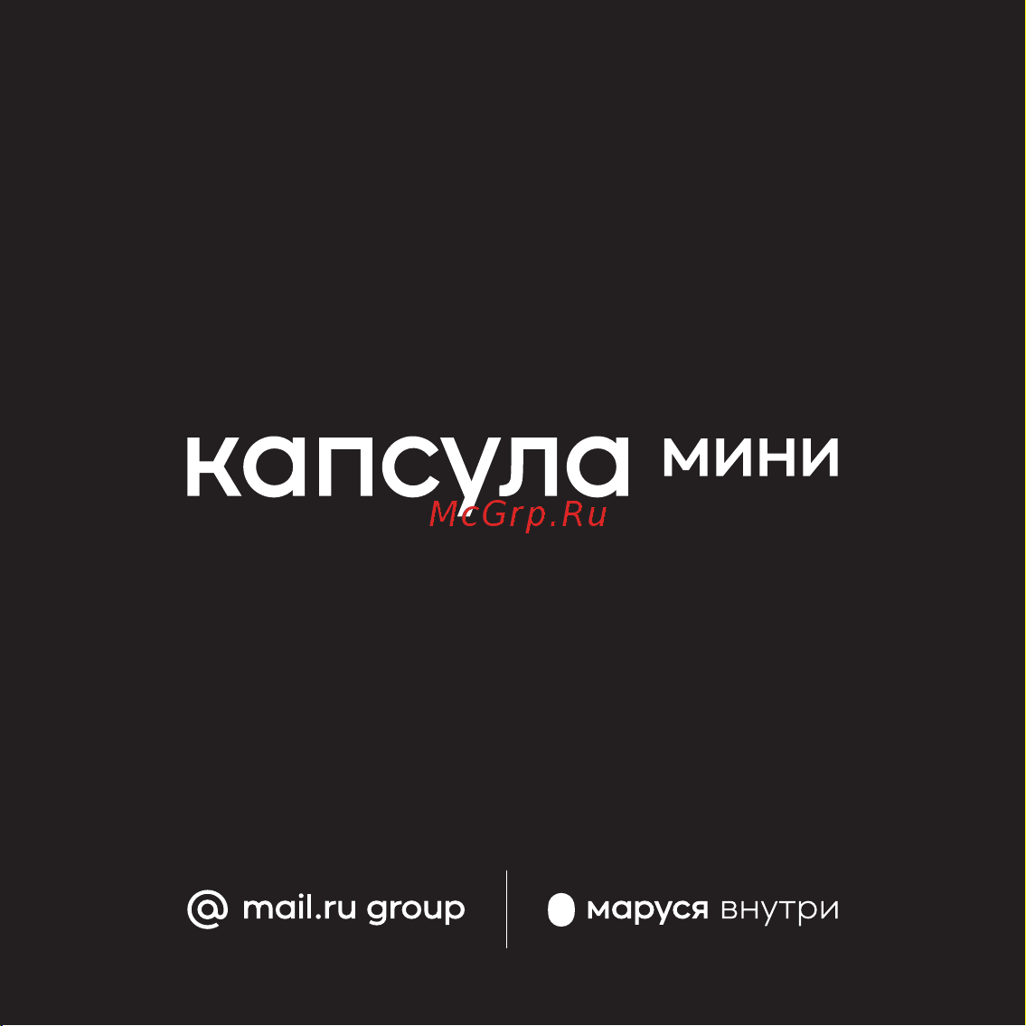 VK Капсула Мини с голосовым помощником Марусей, темно-серая Инструкция по эксплуатации онлайн