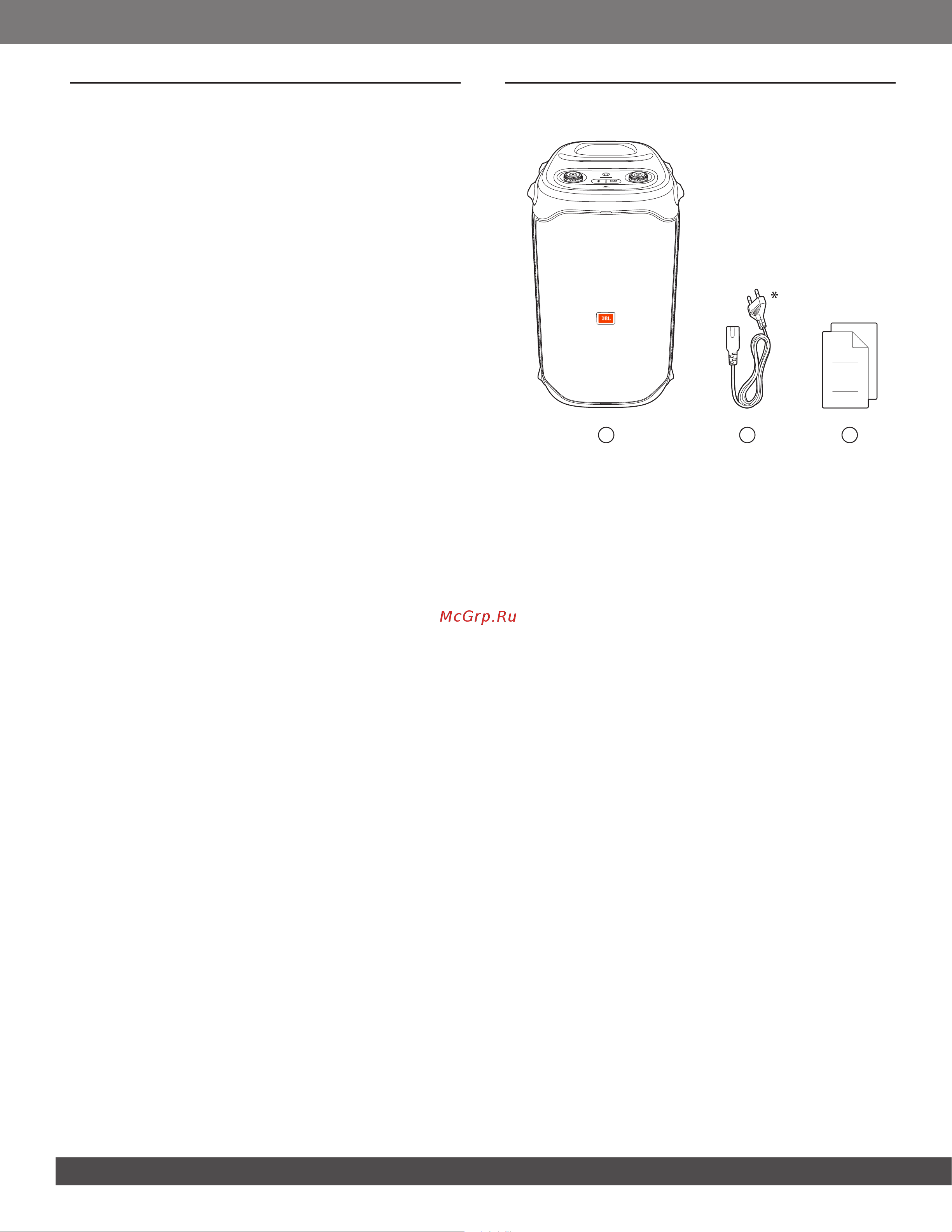 JBL PARTYBOX 110BT (PARTYBOX110RU) [6/17] Введение