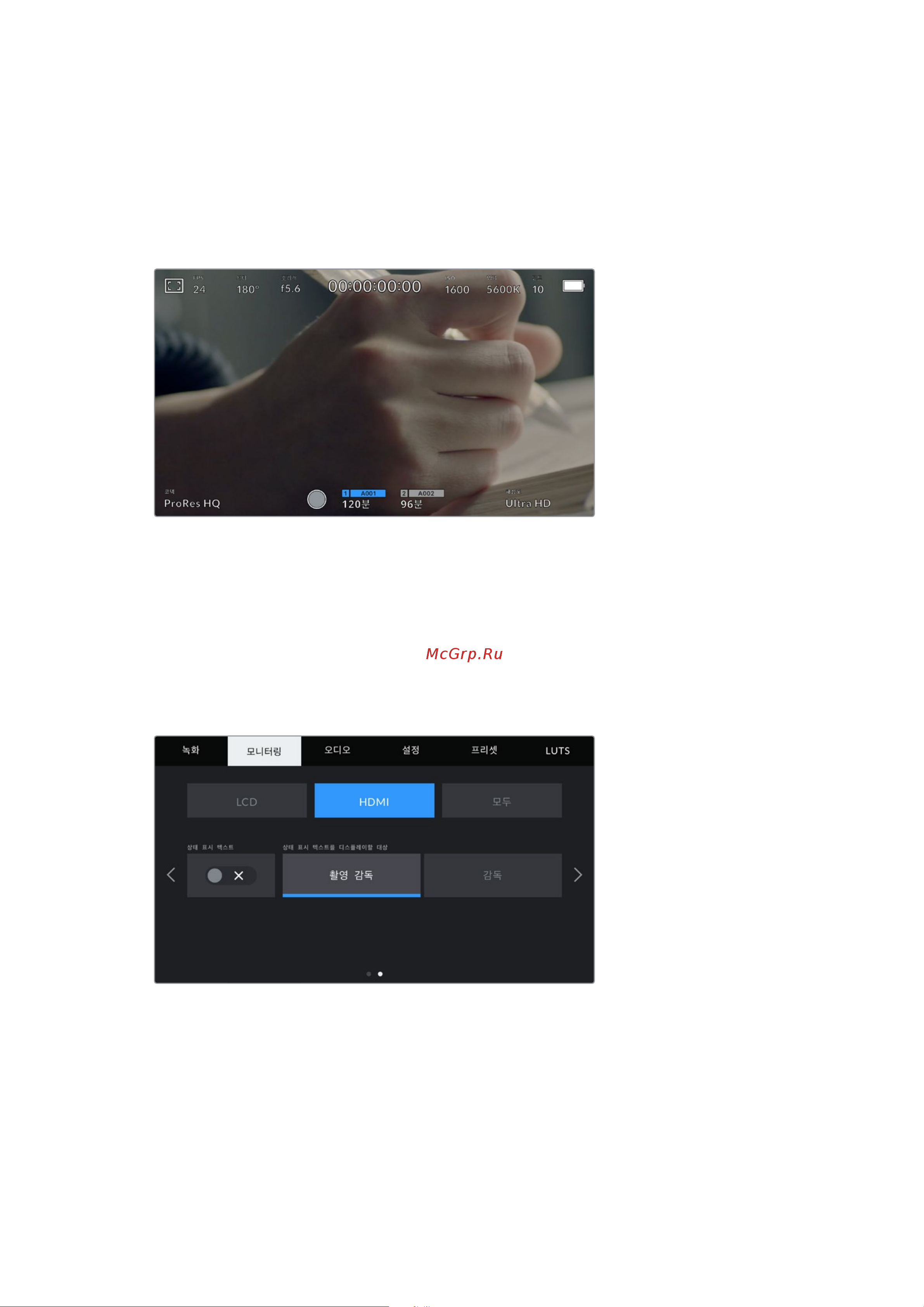 Blackmagic Micro Cinema Camera [1007/1718] 모니터링 설정 hdmi 2