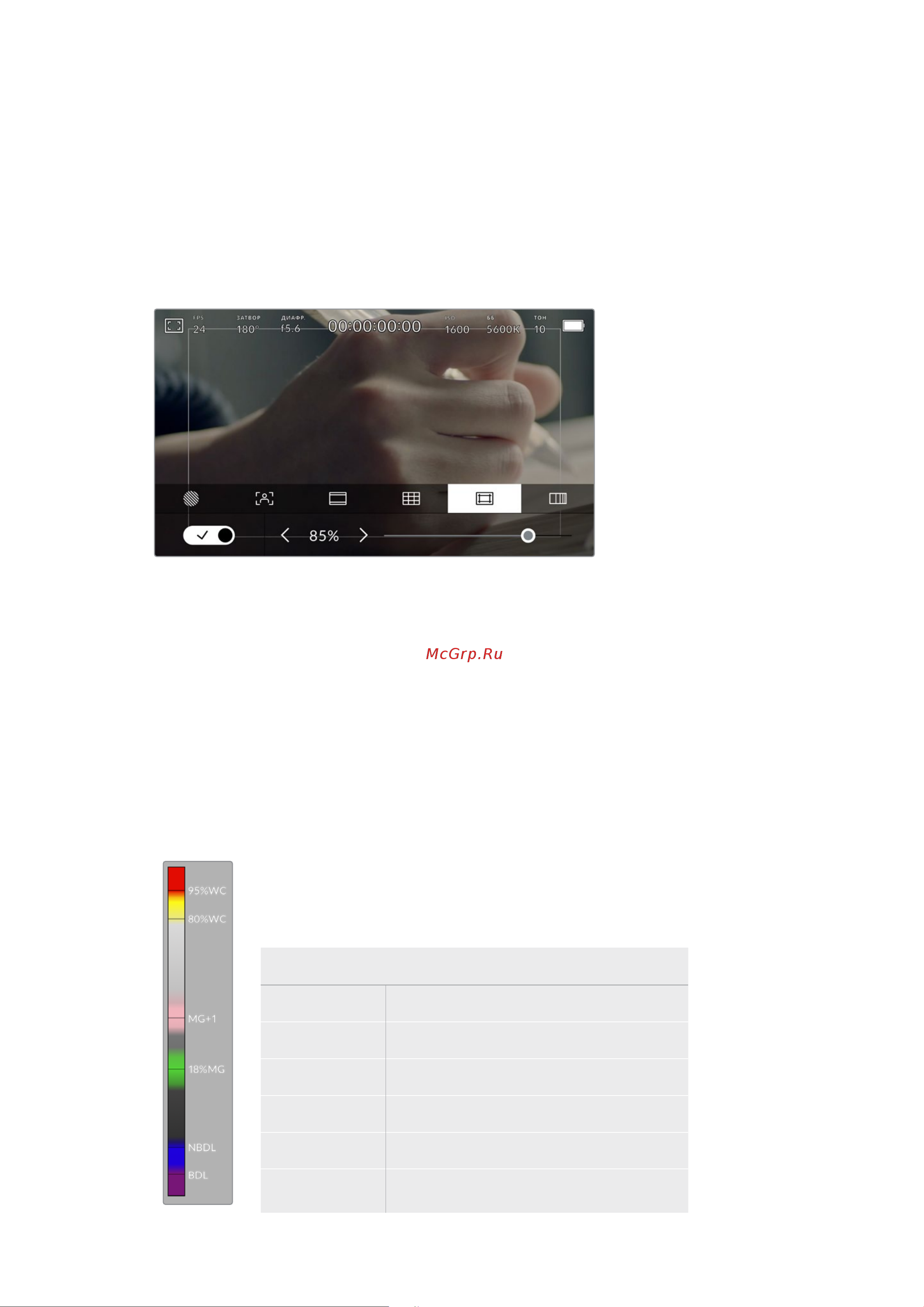 Blackmagic Micro Cinema Camera [1138/1718] Условный цвет