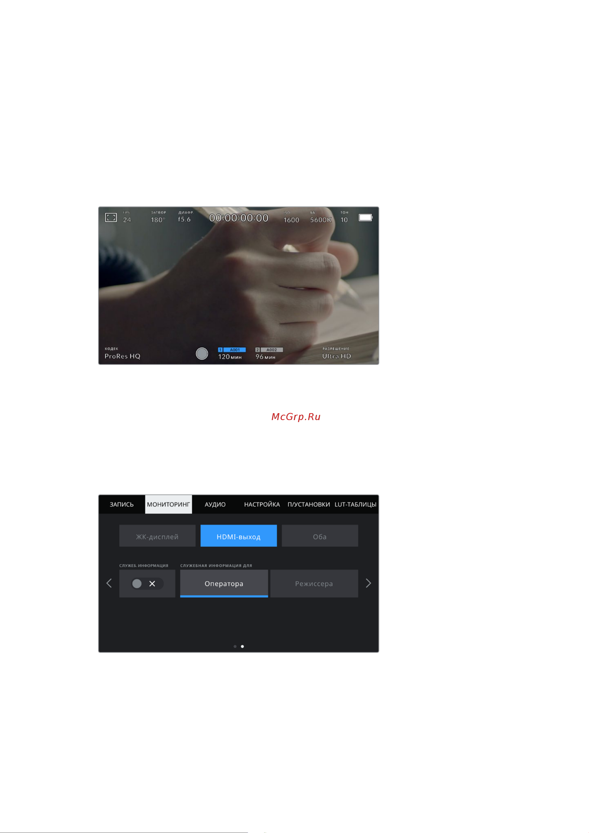 Blackmagic Micro Cinema Camera [1163/1718] Hdmi выход стр 2
