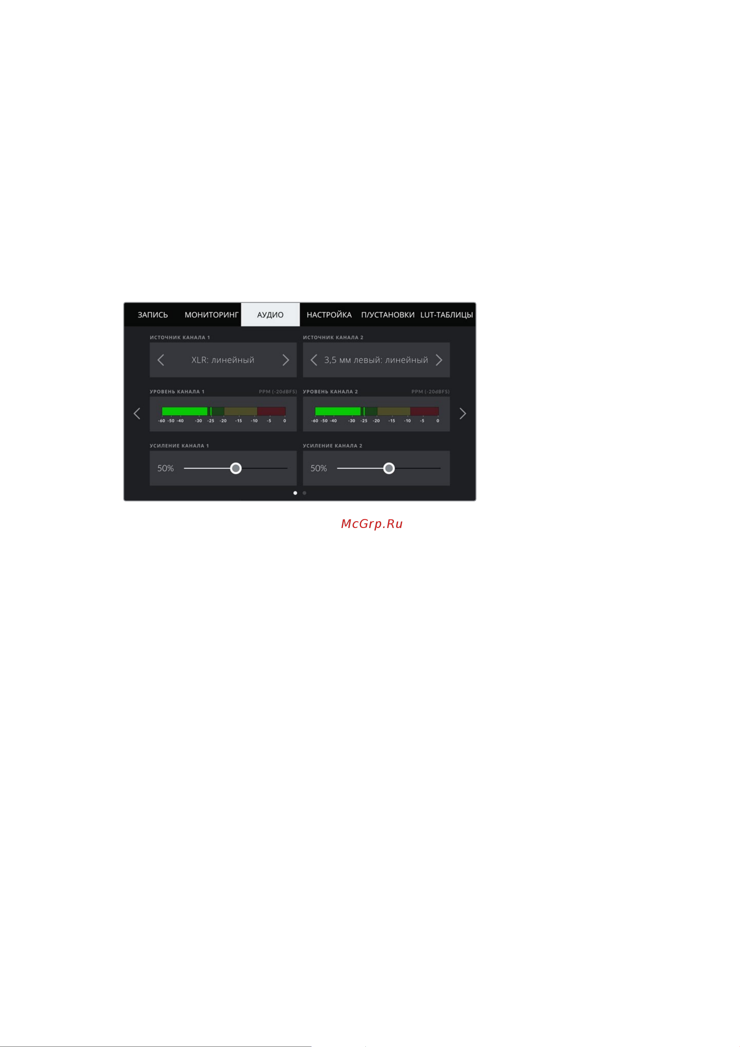 Blackmagic Micro Cinema Camera [1168/1718] Настройки звука