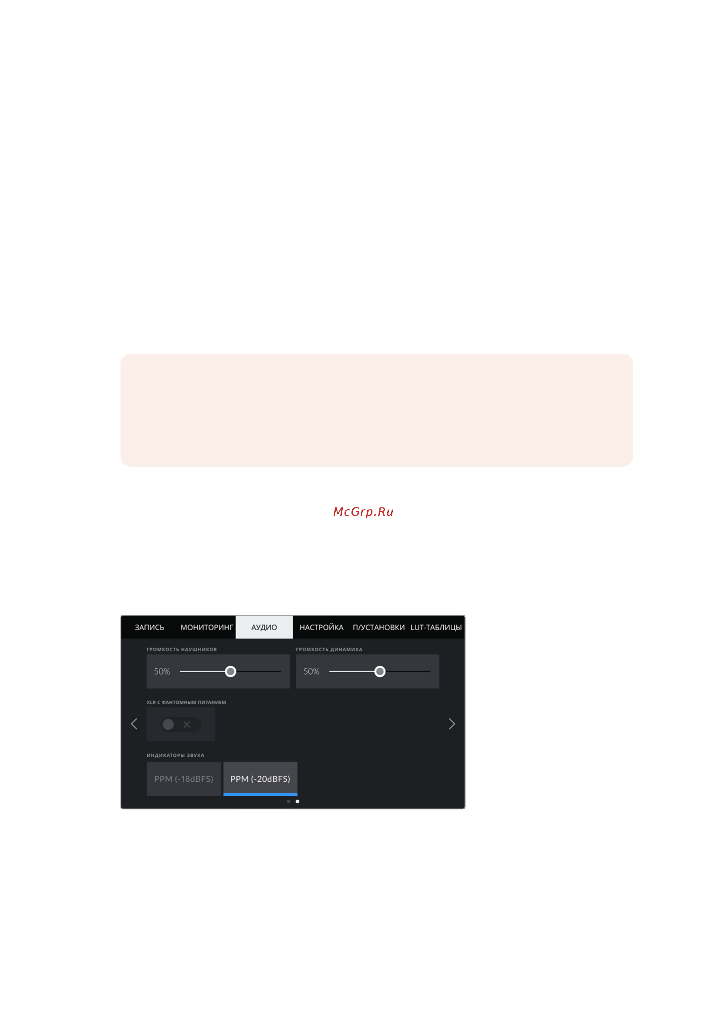 Blackmagic Micro Cinema Camera [1169/1718] Вкладка аудио стр 2