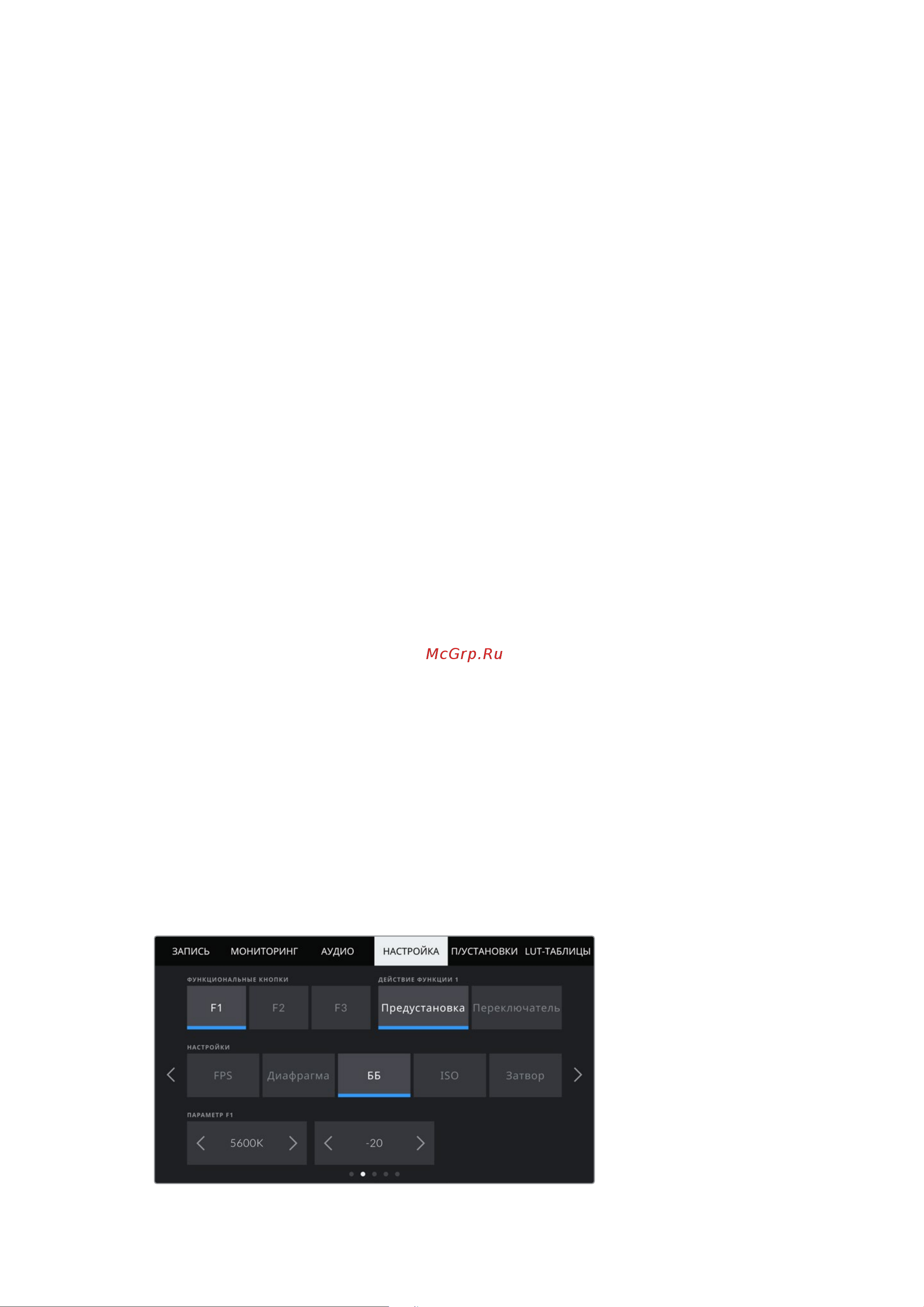 Blackmagic Micro Cinema Camera [1172/1718] Вкладка настройка стр 2