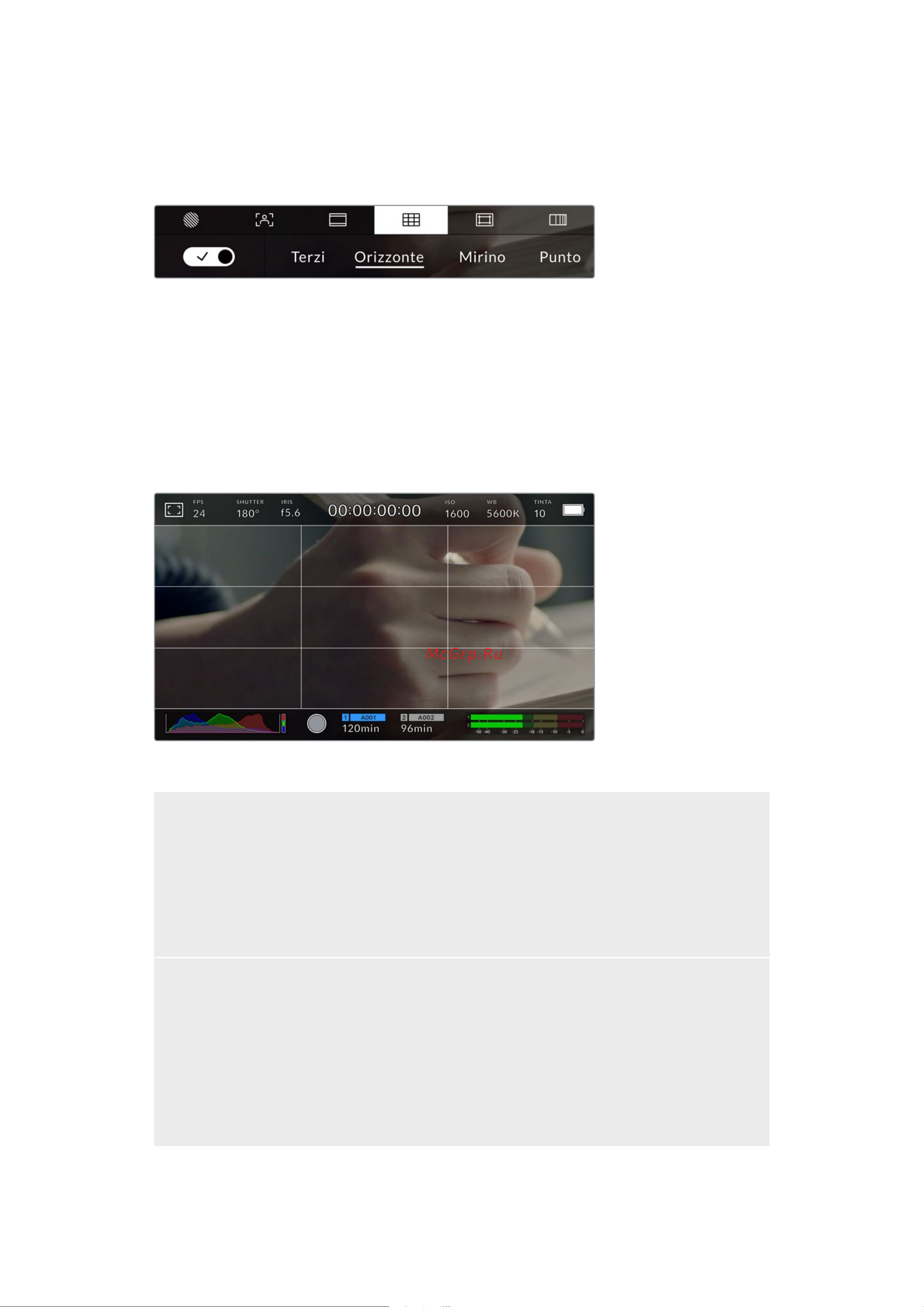 Blackmagic Micro Cinema Camera [1292/1718] Griglie le griglie dividono lo schermo in terzi oppure mostrano un mirino un punto centrale o l orizzonte sullo schermo lcd touch e sull uscita hdmi della camera