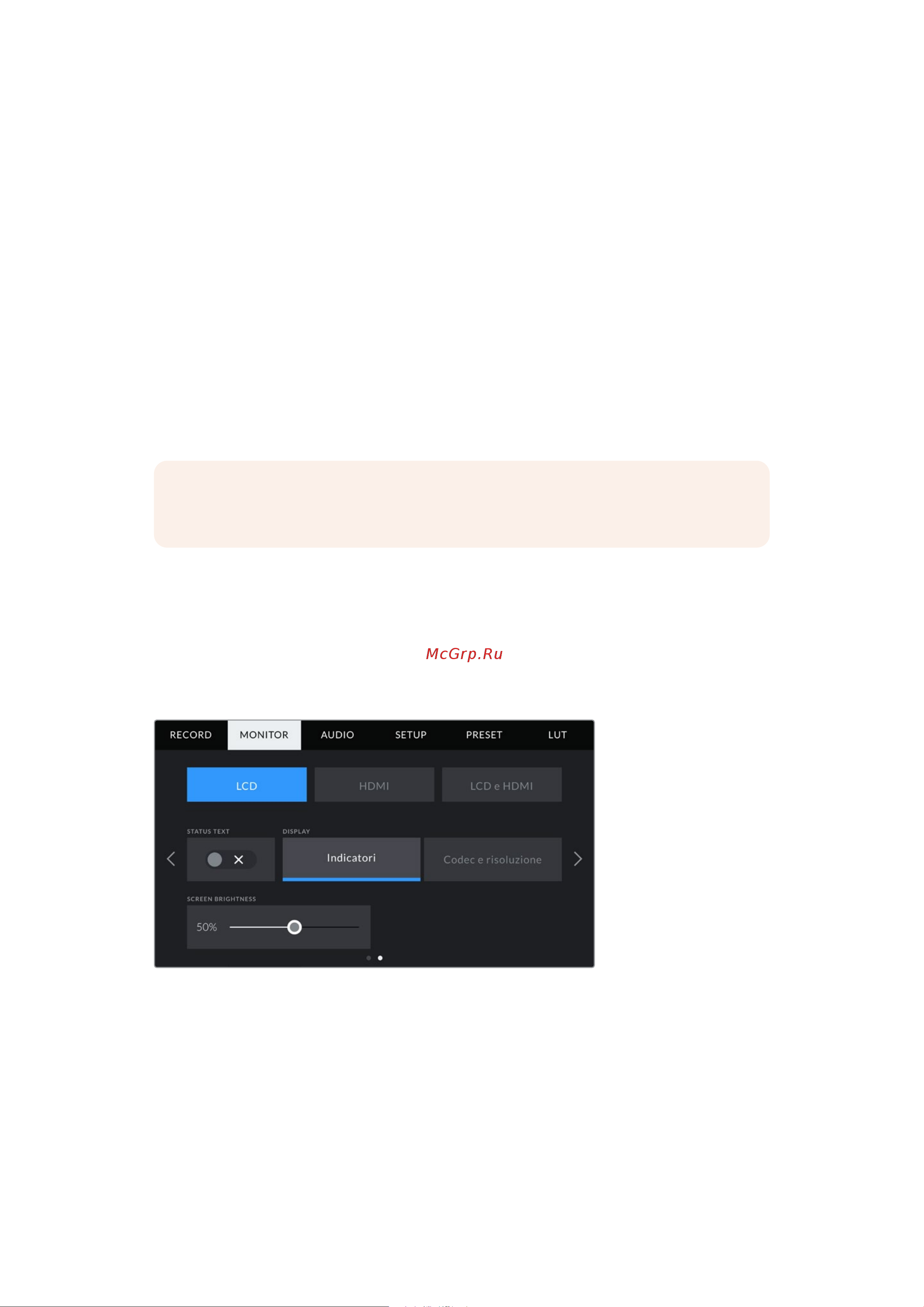 Blackmagic Micro Cinema Camera [1318/1718] Monitor lcd pagina 2
