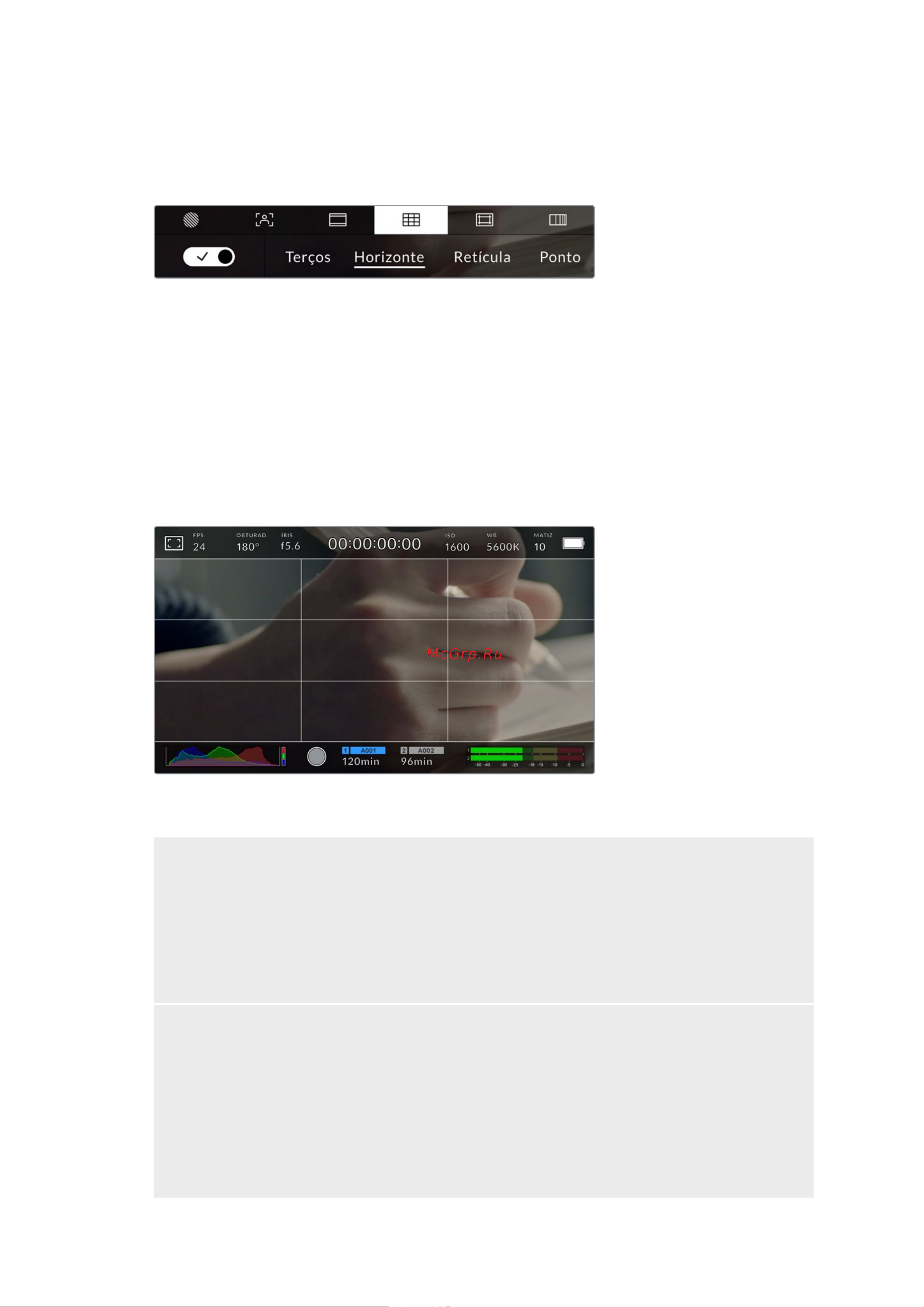 Blackmagic Micro Cinema Camera [1448/1718] A configuração de grades alterna o modo de exibição para uma grade de regra dos terços indicador de horizonte retícula ou ponto central assim como a definição de sobreposição que estará visível na saída hdmi