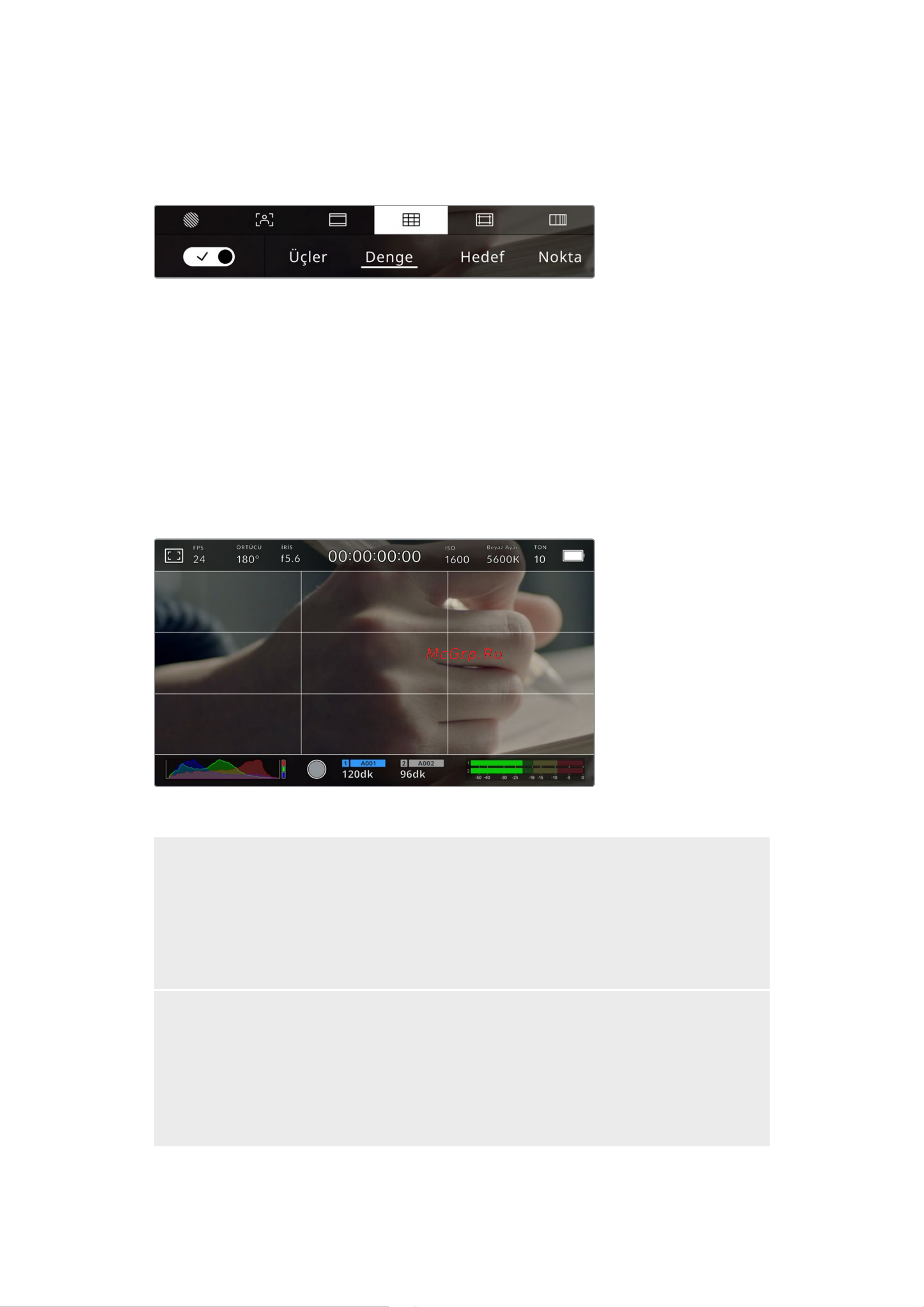 Blackmagic Micro Cinema Camera [1604/1718] Izgara kılavuzlar ve hedef işareti görüntü kompozisyonuna yardımcı olabilecek katmanlardır izgara kılavuz özelliği etkinleştirildiğinde lcd ekran üçler kuralı altın kural denge hedef işareti veya merkez noktası katmanlarını görüntüler
