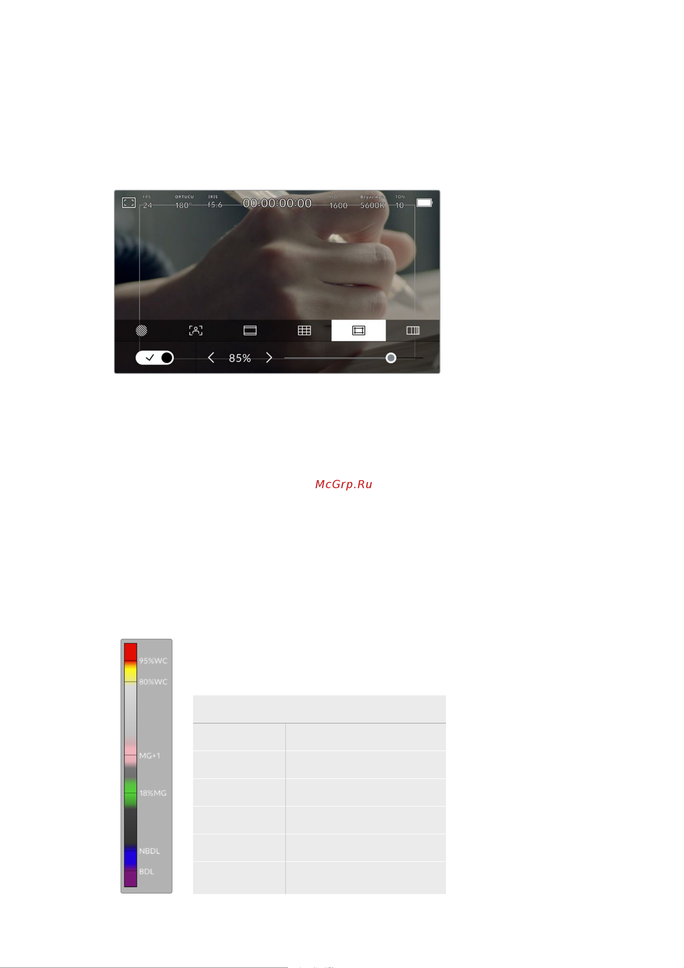 Blackmagic Micro Cinema Camera Инструкция по эксплуатации онлайн [1606/1718] 642536