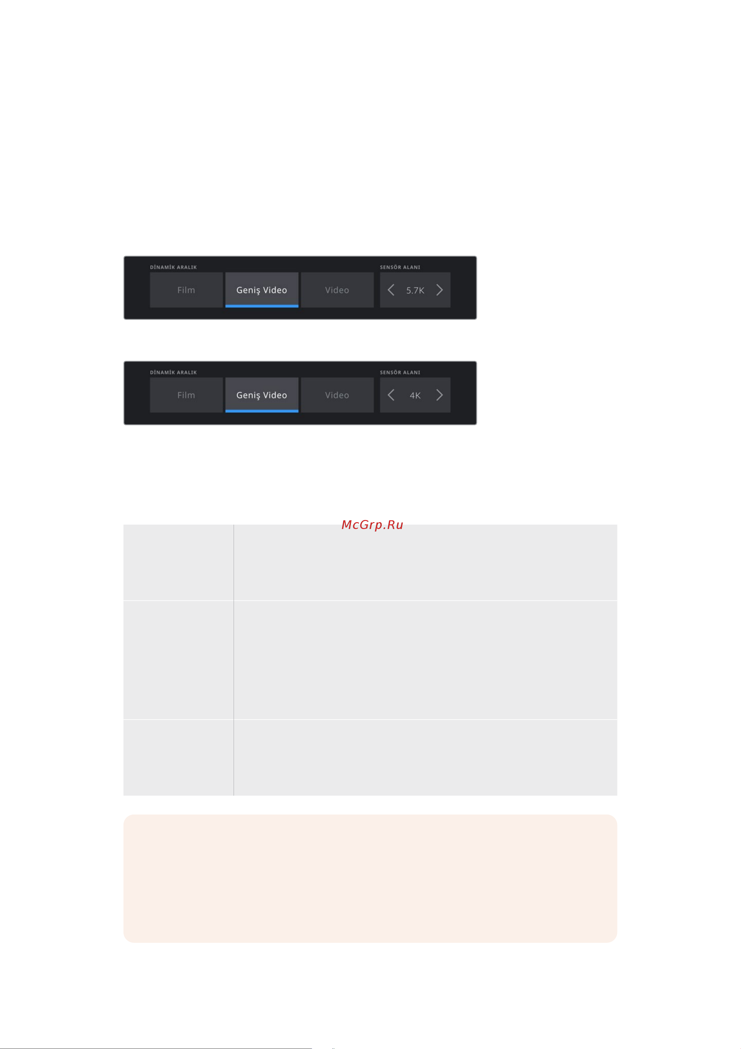 Blackmagic Micro Cinema Camera [1624/1718] Kayıt ayarları 2