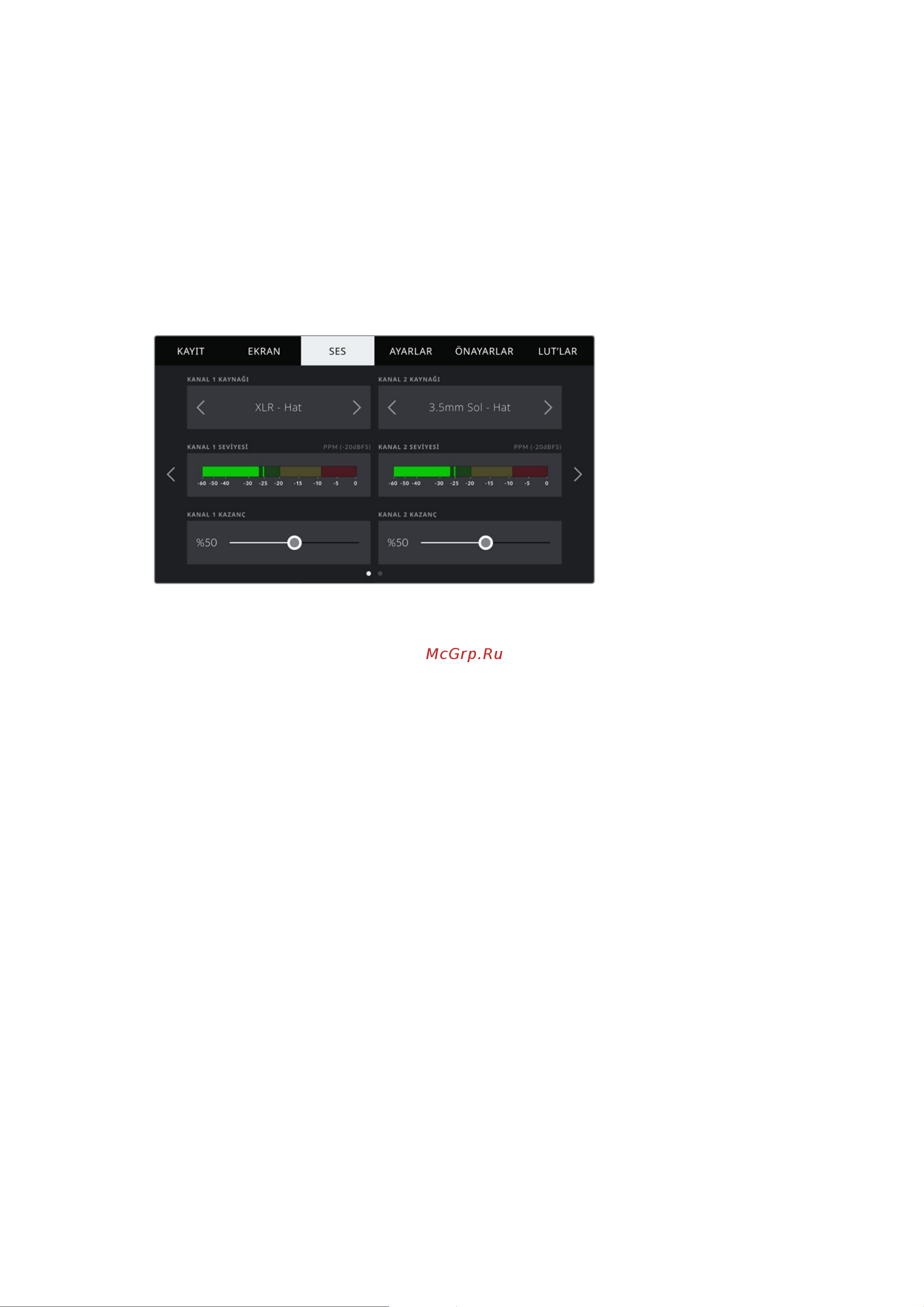 Blackmagic Micro Cinema Camera [1636/1718] Ses ayarları