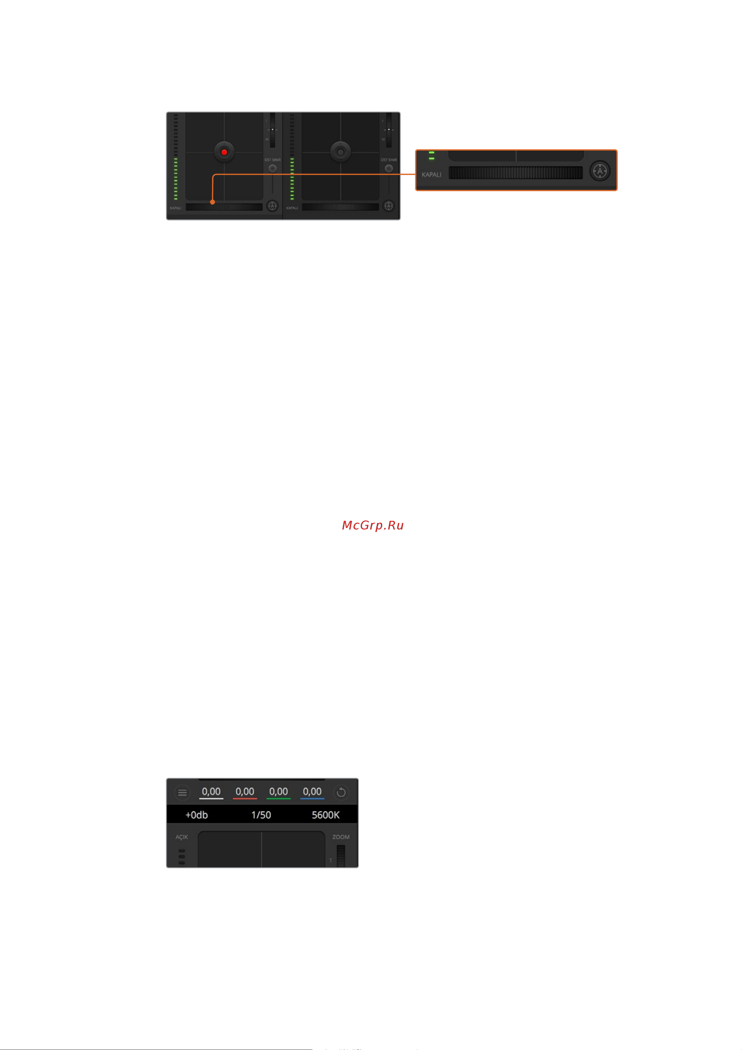 Blackmagic Micro Cinema Camera Инструкция по эксплуатации онлайн [1693/1718] 642536