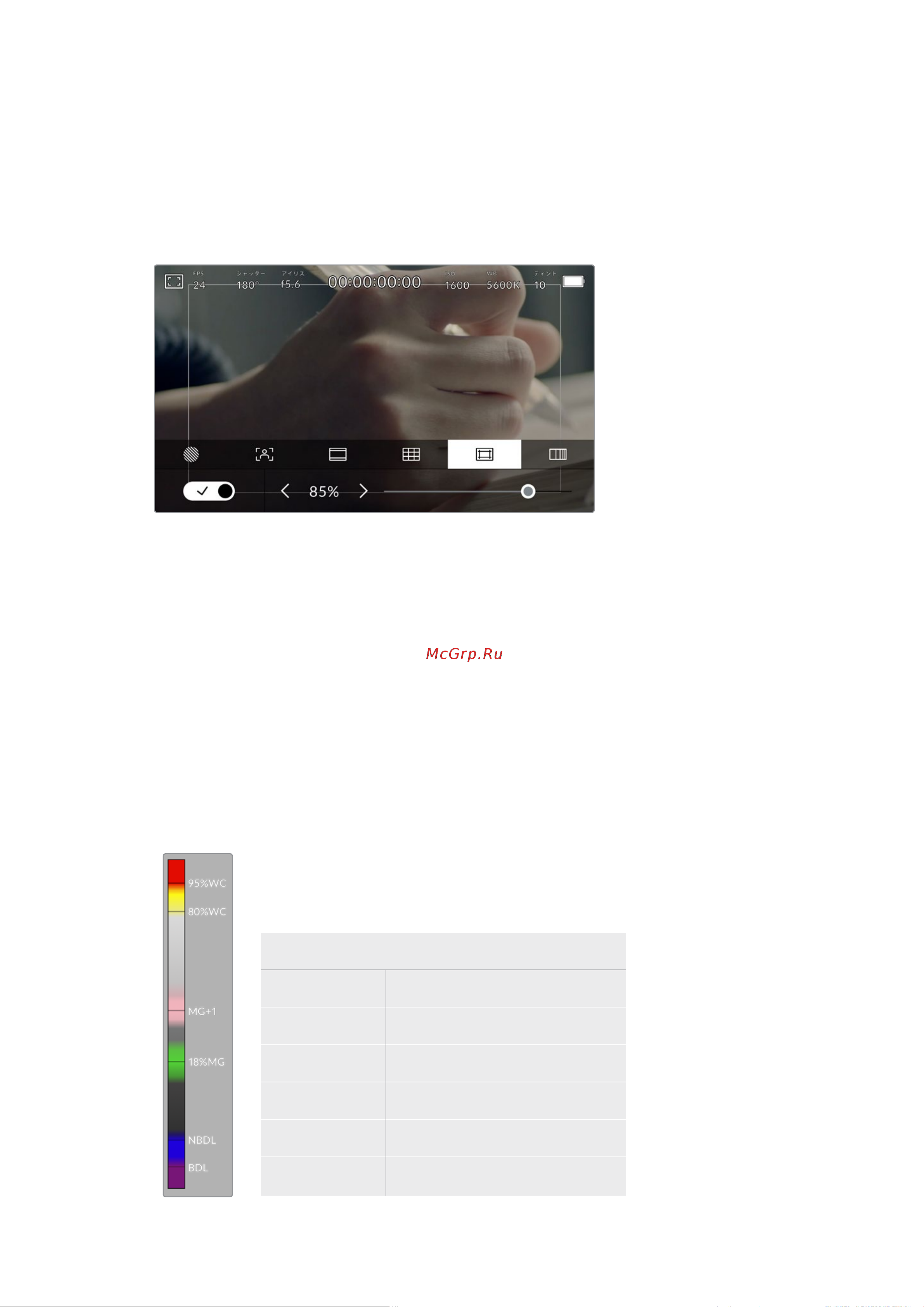 Blackmagic Micro Cinema Camera [201/1718] のフレームクロップがどのように見えるか確認できます セーフエリアガ