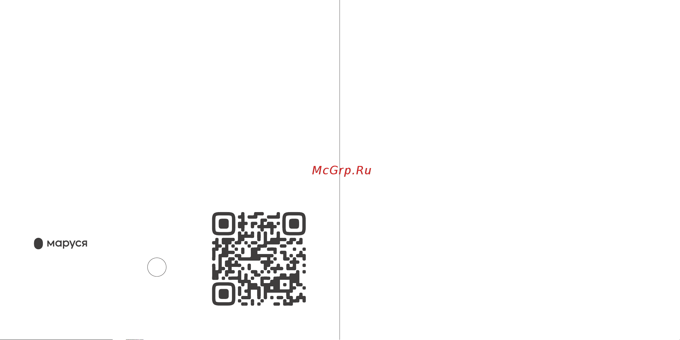 Xiaomi Mi Smart Speaker с Марусей QBH4221RU [3/10] Начало работы