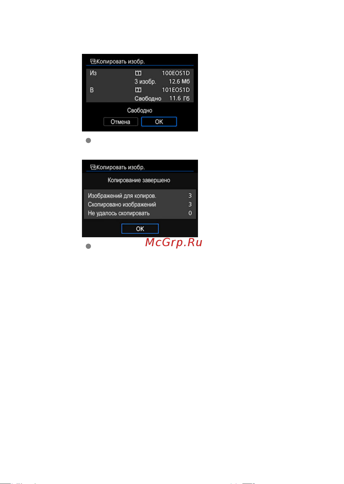 Canon EOS 1DX Mark III Инструкция по эксплуатации онлайн [490/1009] 642992