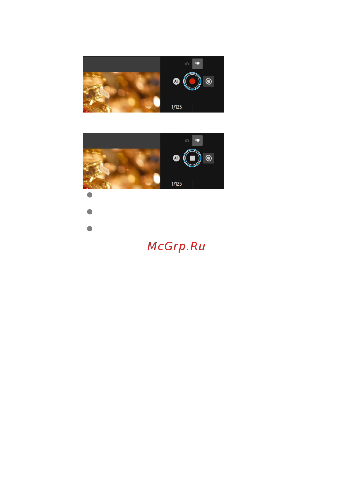 Canon EOS 1DX Mark III Инструкция по эксплуатации онлайн [689/1009] 642992