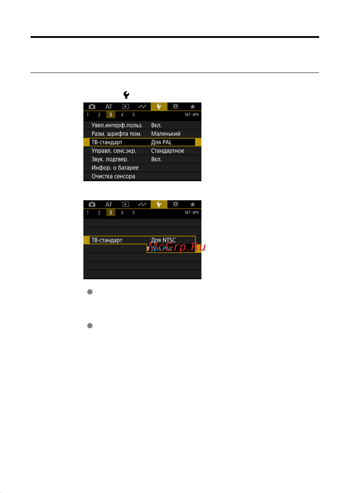 Canon EOS 1DX Mark III [832/1009] Тв стандарт