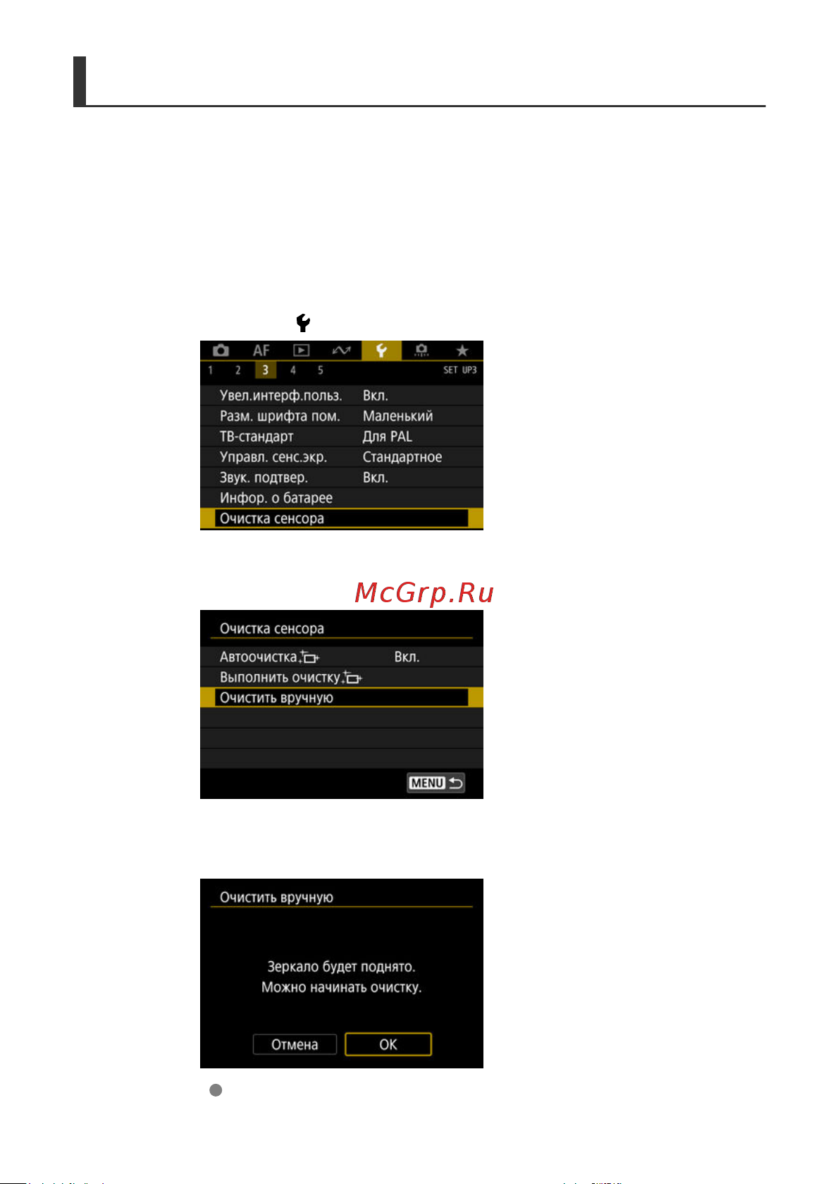 Canon EOS 1DX Mark III [841/1009] Очистить вручную