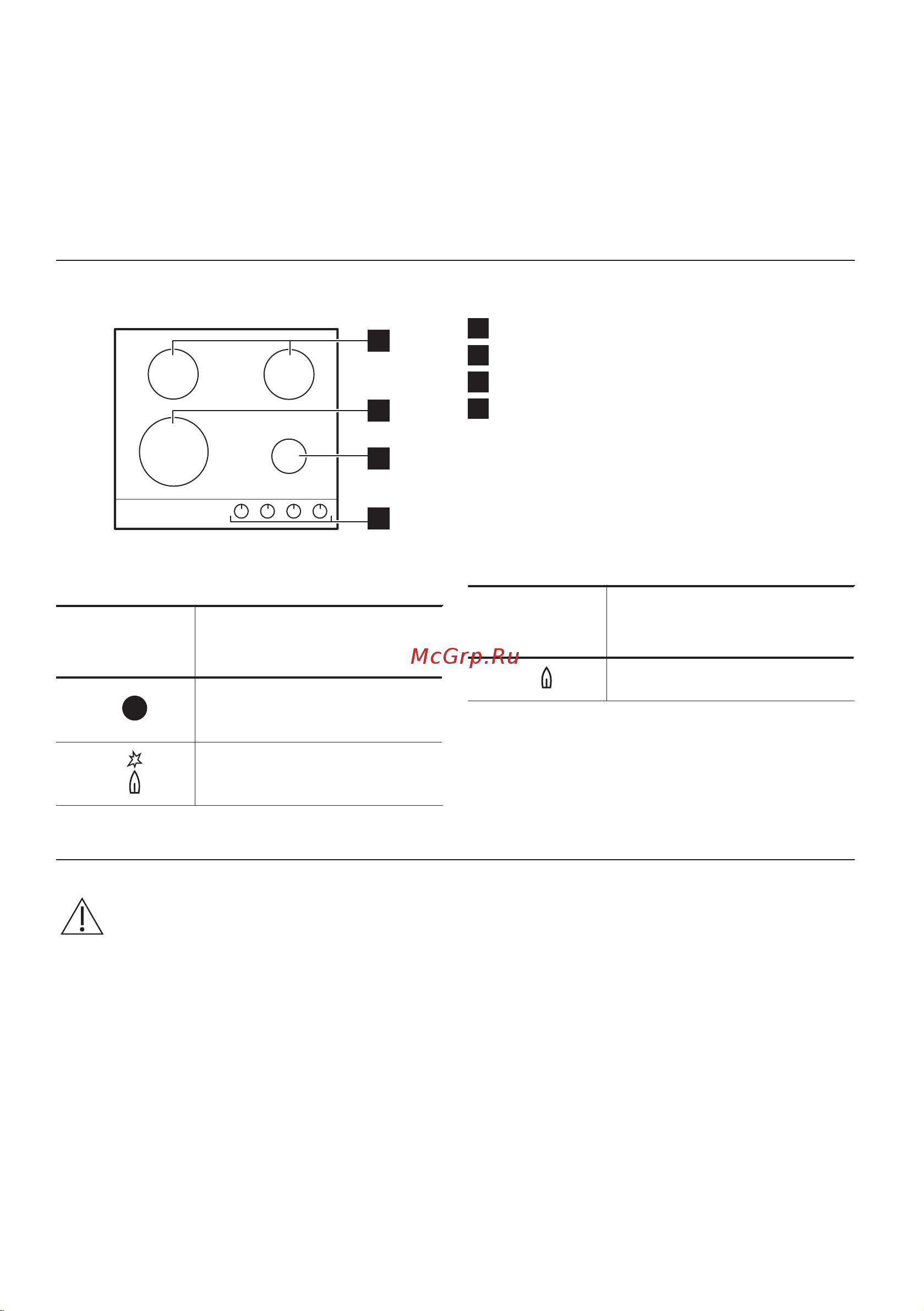 Zanussi GPZ263SR [10/52] Бұйым сипаттамасы