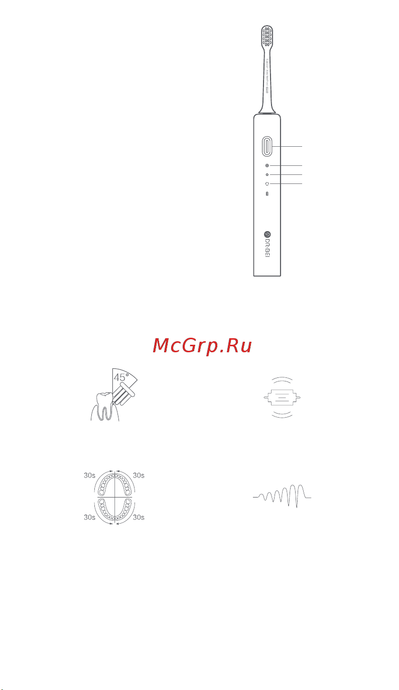 Dr. Bei Sonic Electric Toothbrush BY-V12 Violet [11/28] B modes switch