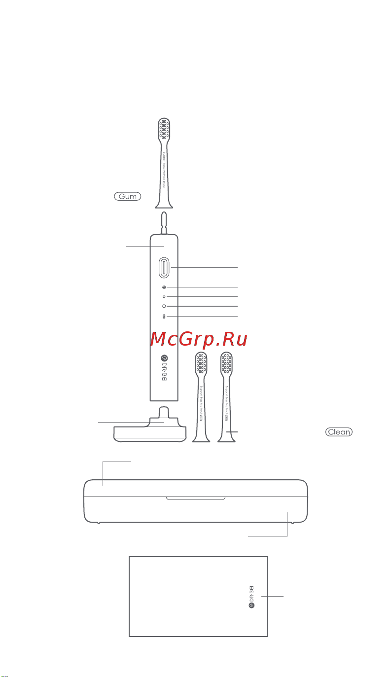 Dr. Bei Sonic Electric Toothbrush BY-V12 Violet [8/28] I introduction