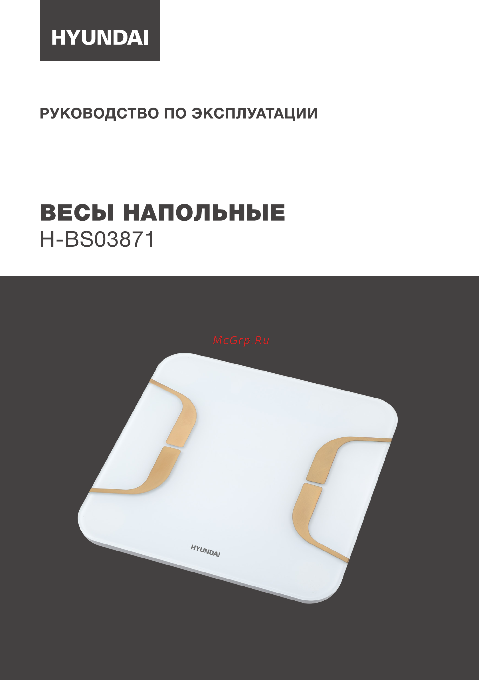 Hyundai H-BS03871 белый Инструкция по эксплуатации онлайн