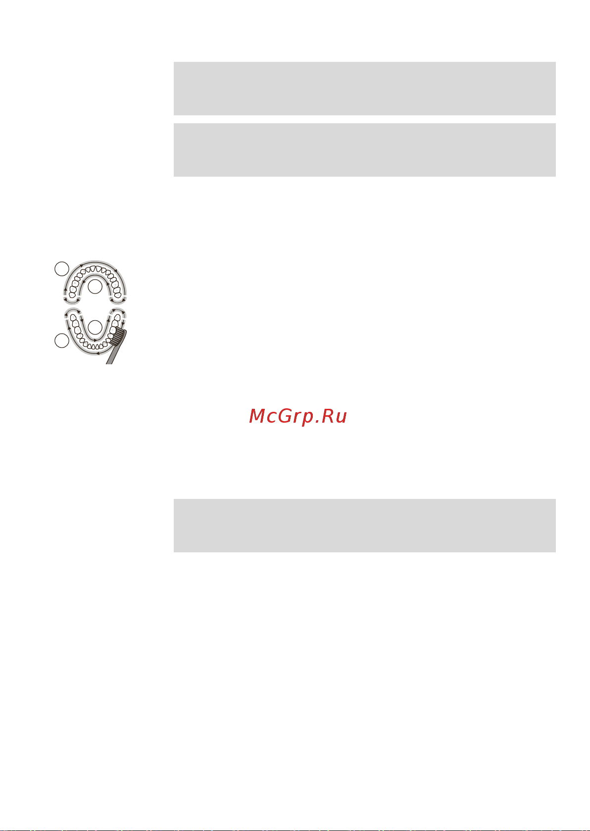 Philips HX3651/12 [150/388] Quadpacer