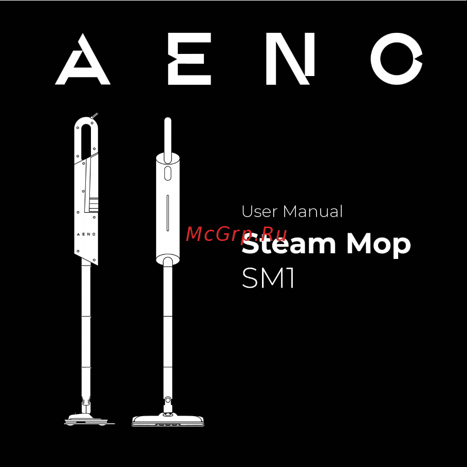 AENO SM1 (ASM0001) Инструкция по эксплуатации онлайн