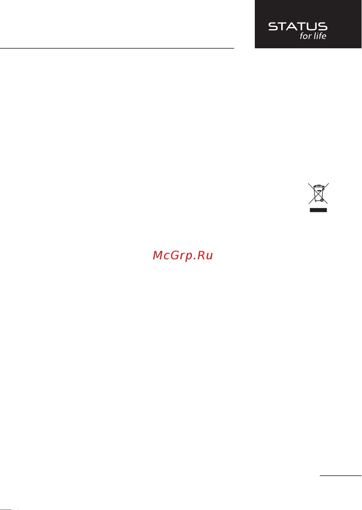 STATUS for life ST-SF-040M(BL) [9/16] Комплектация