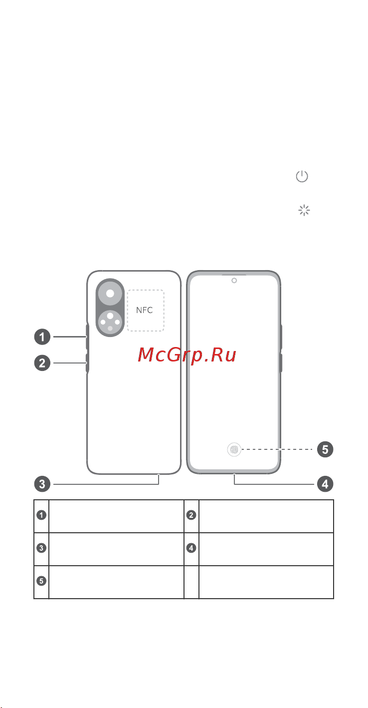Honor 50 6+128GB Emerald Green (NTH-NX9) [2/27] Знакомство с устройством