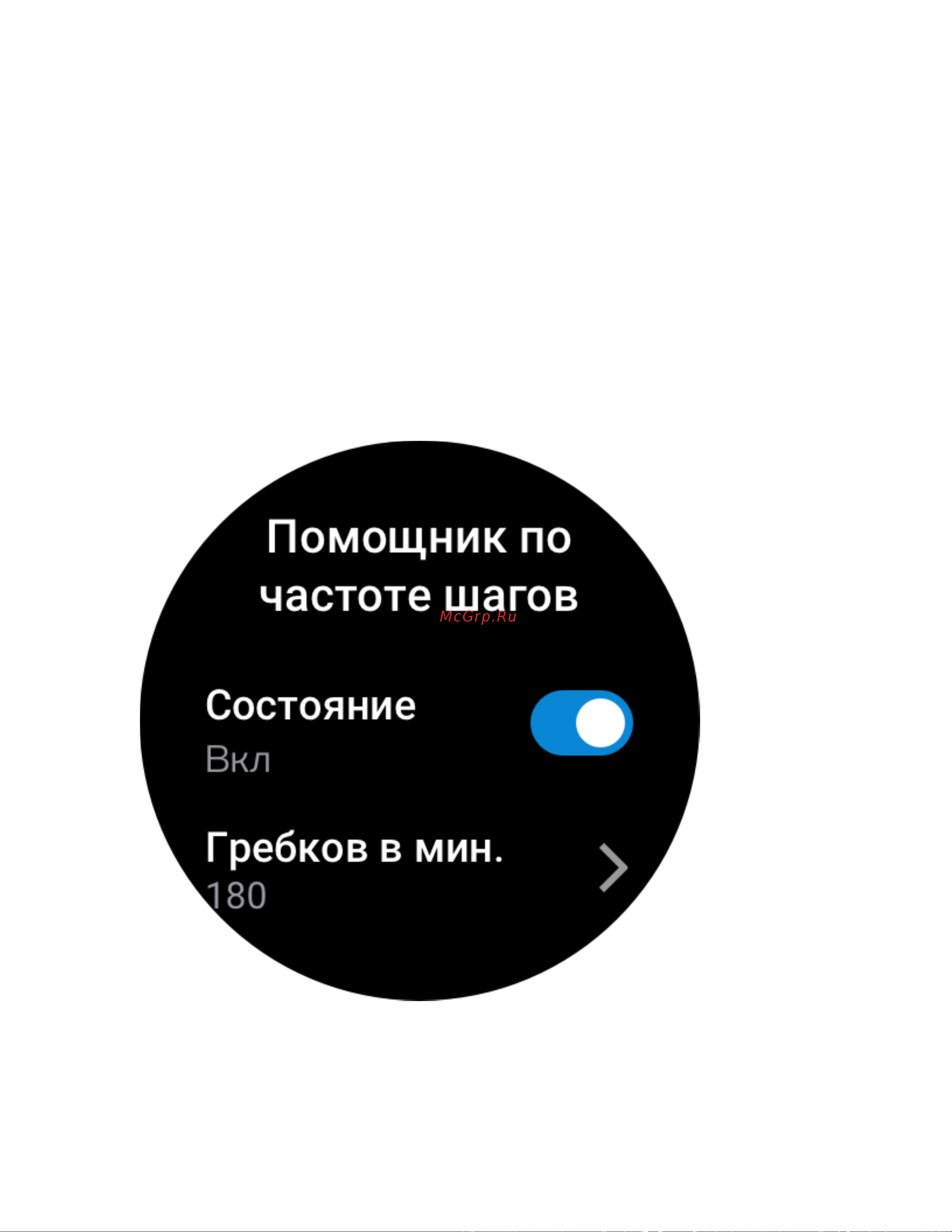 Amazfit GTR 3 Thunder Black (A1971) [31/113] Помощник по частоте шагов